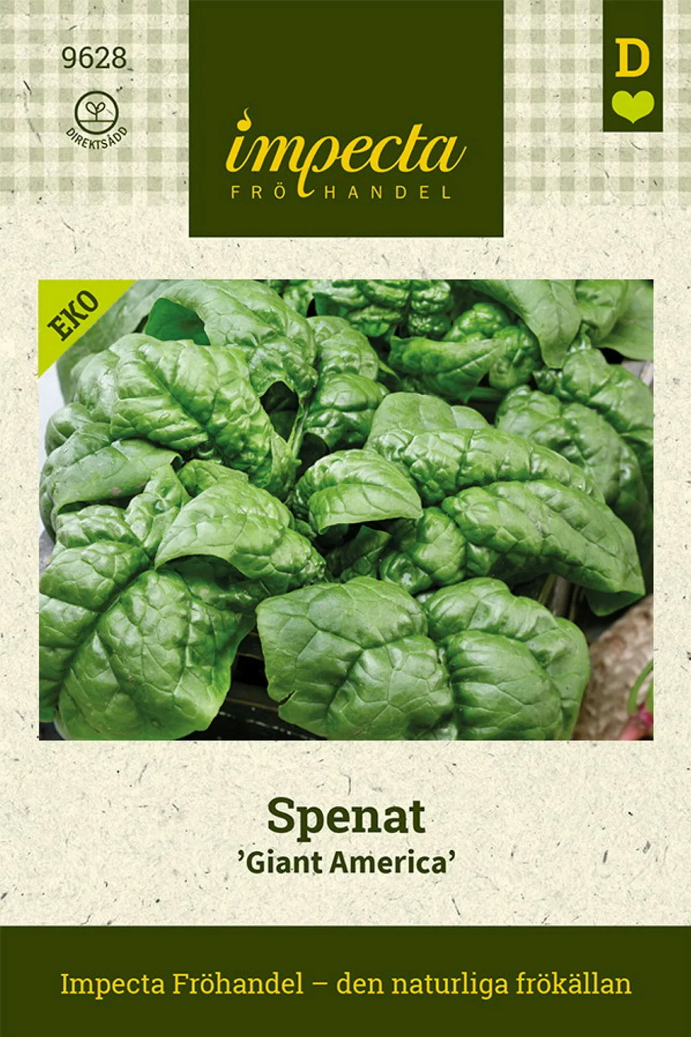 Spinacia oleracea 'Giant America'