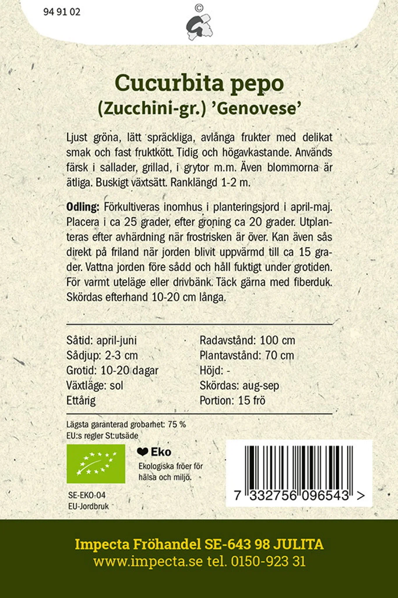 Squash 'Genovese'