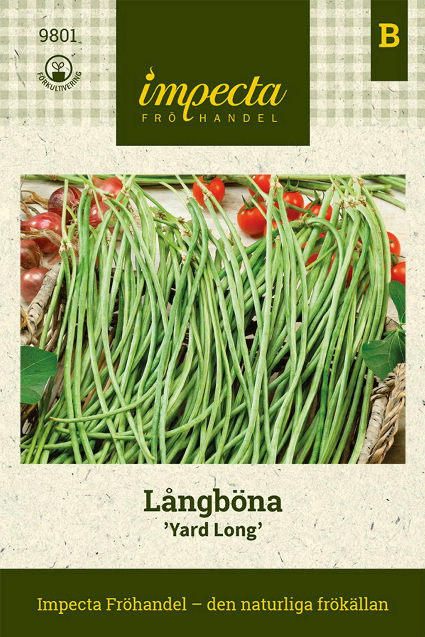 Vigna unguiculata 'Yard Long'