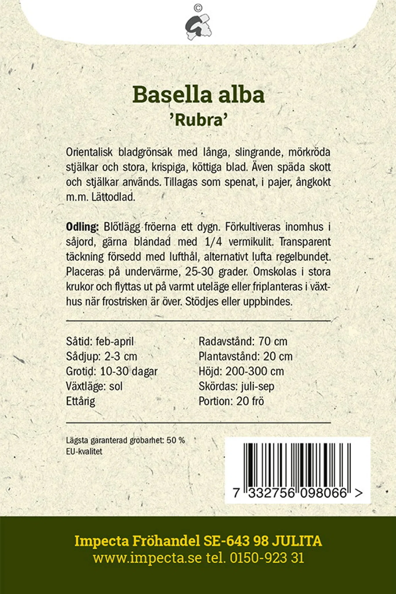 Malabar spinat 'Rubra'