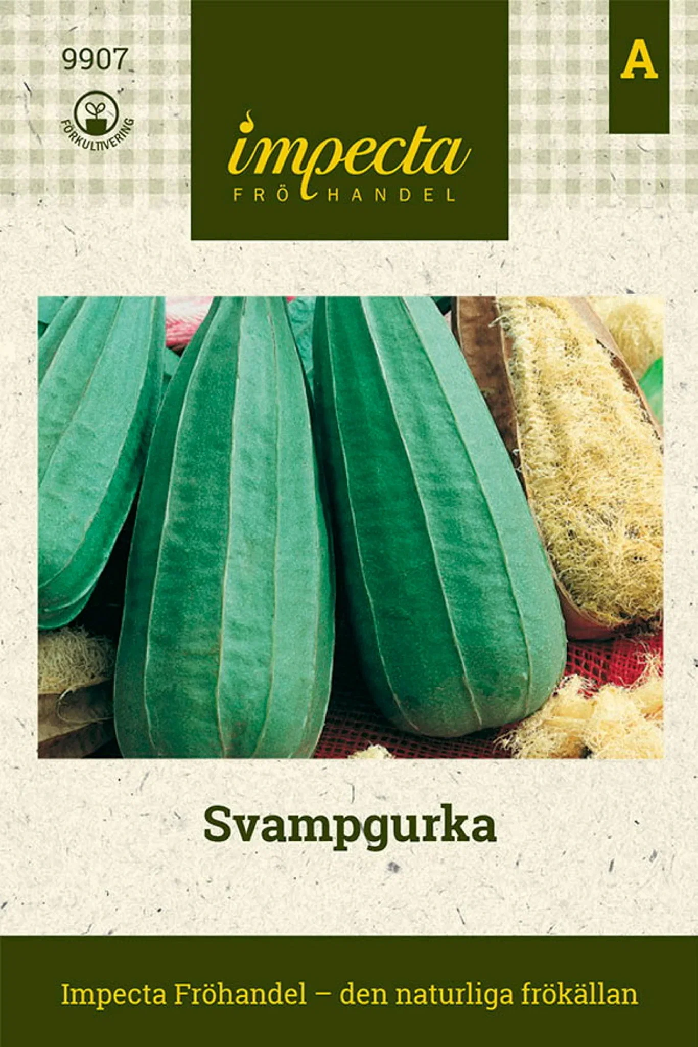 Luffa aegyptiaca