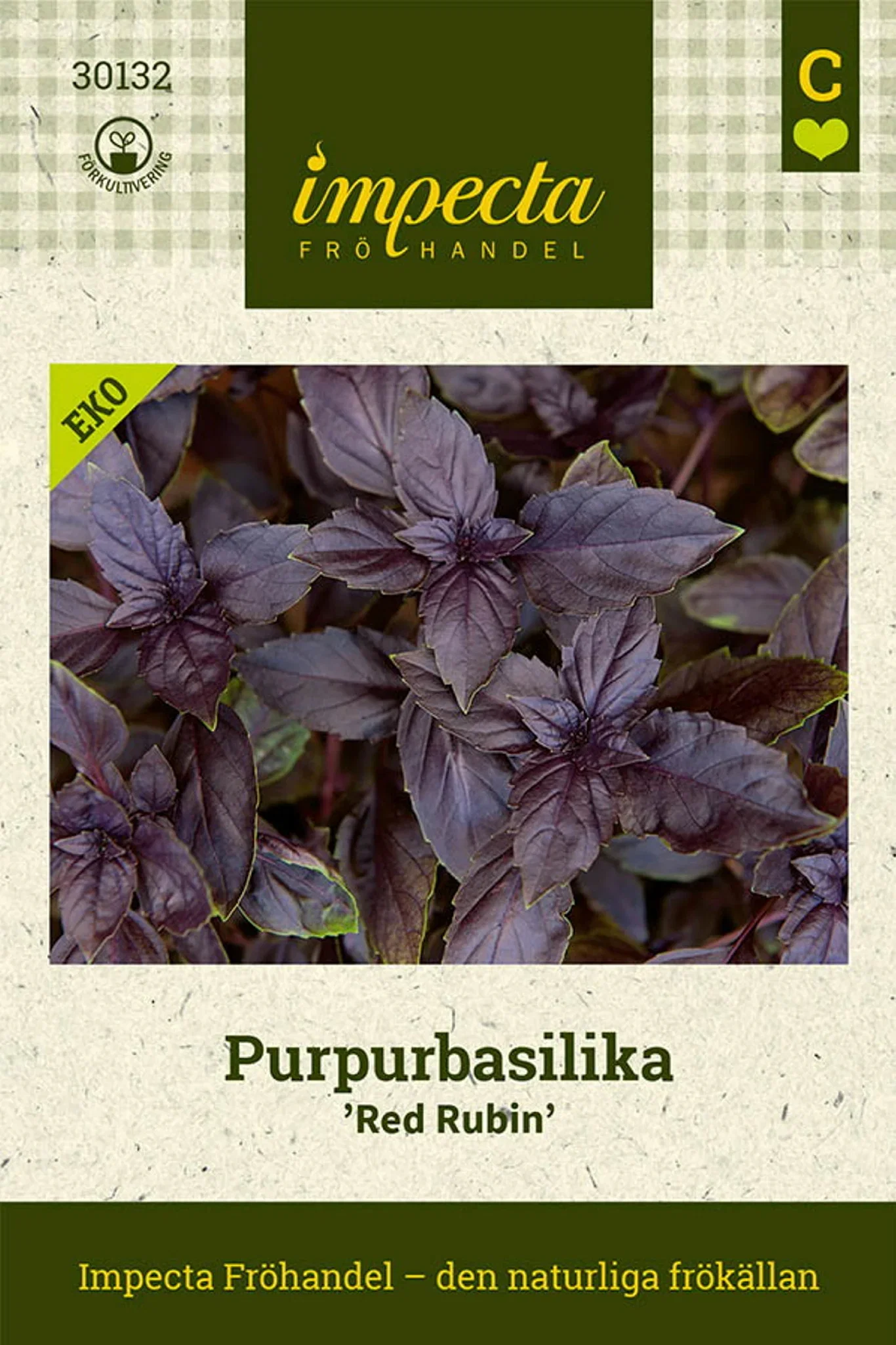 Lilla basilika 'Red Rubin