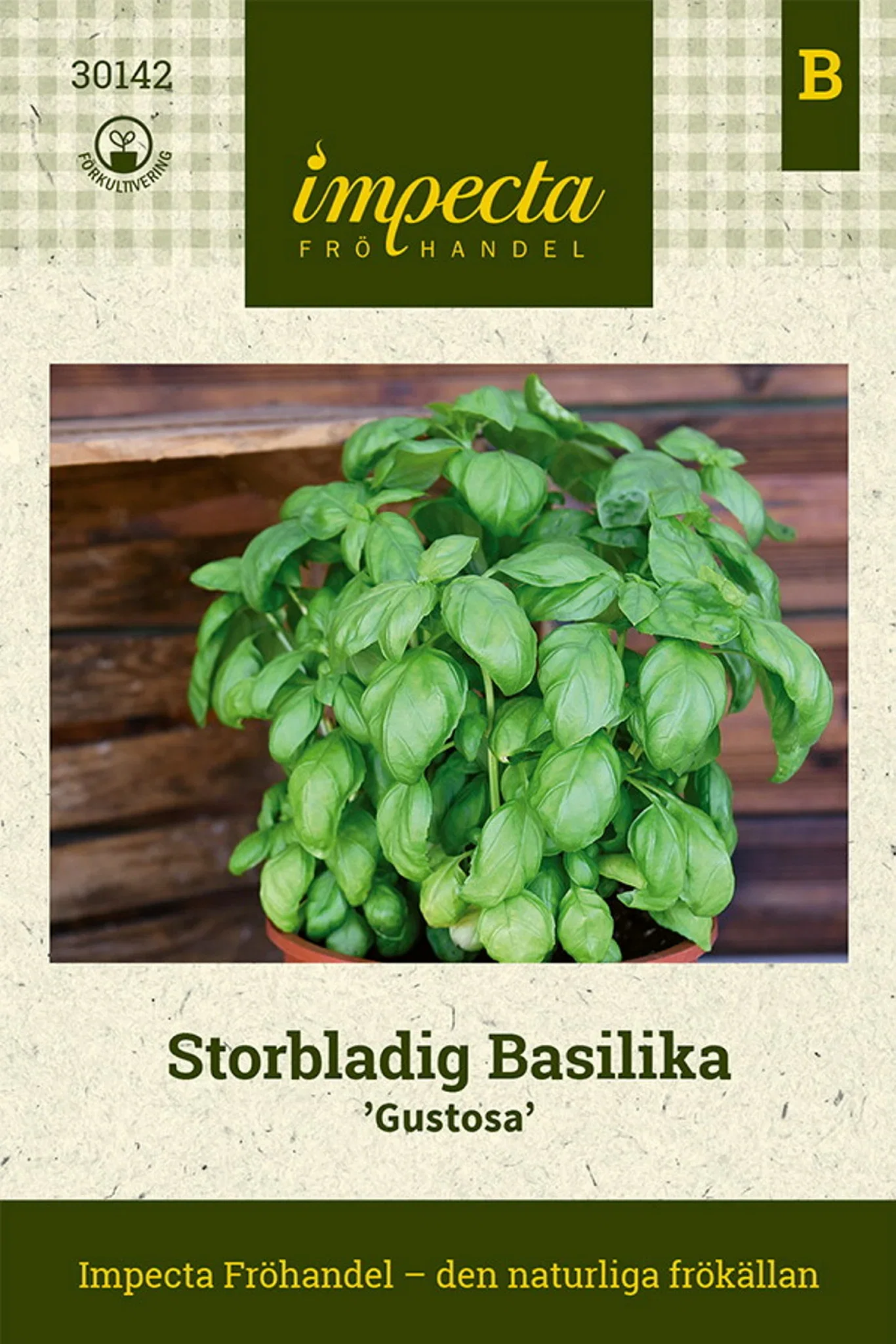 Ocimum basilicum 'Gustosa'