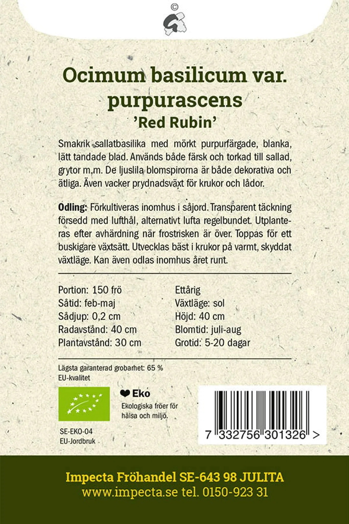 Lilla basilika 'Red Rubin