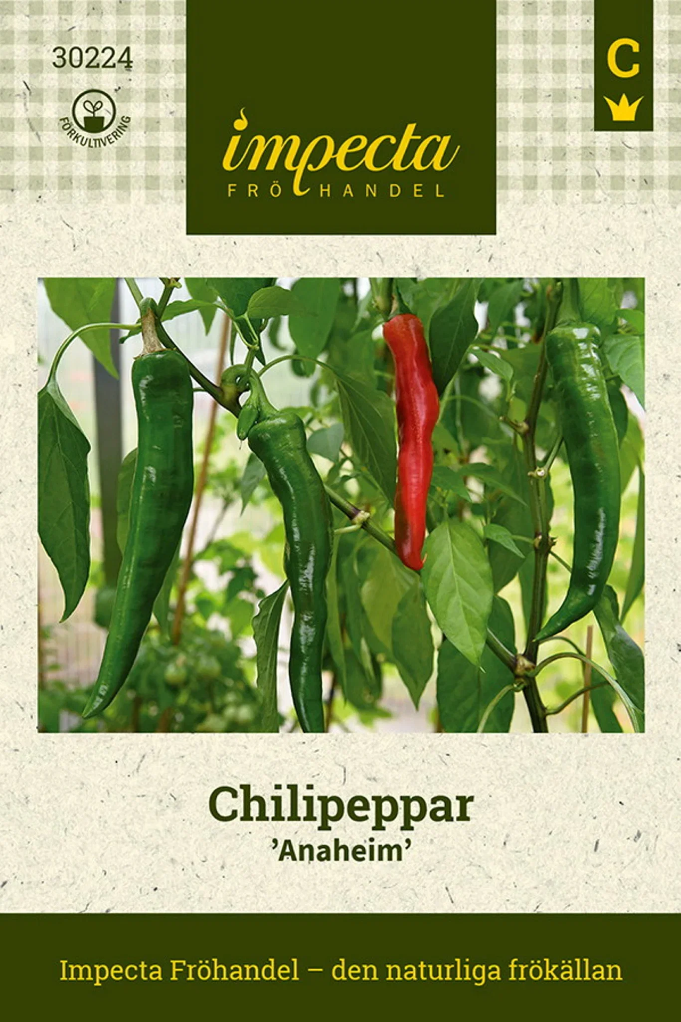 Chilipeppar 'Anaheim Chili'