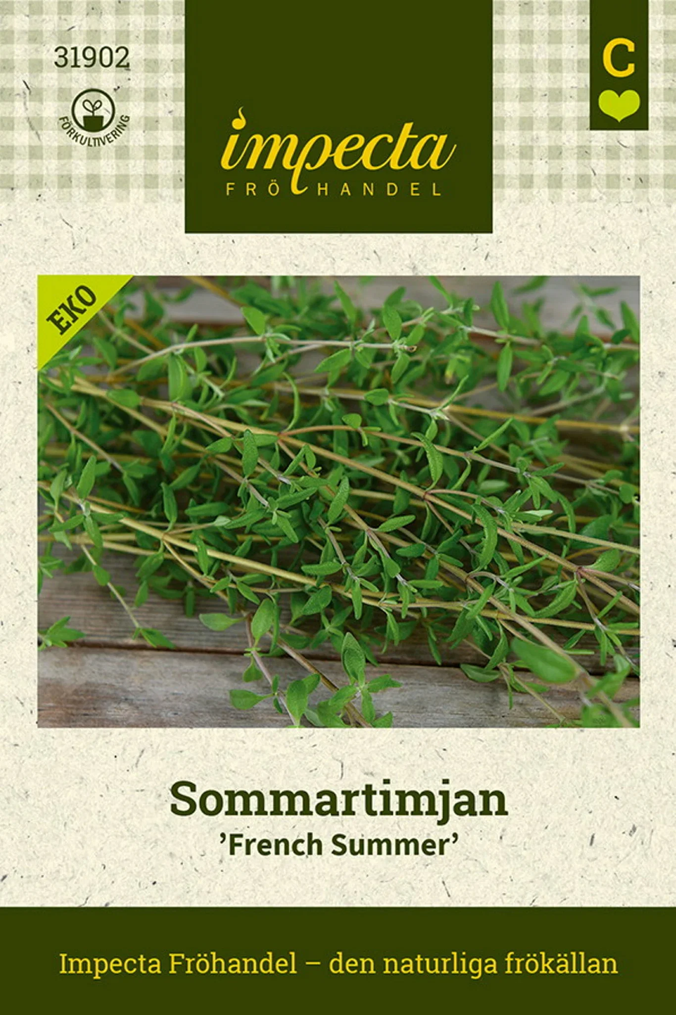 Thymus vulgaris 'French Summer'