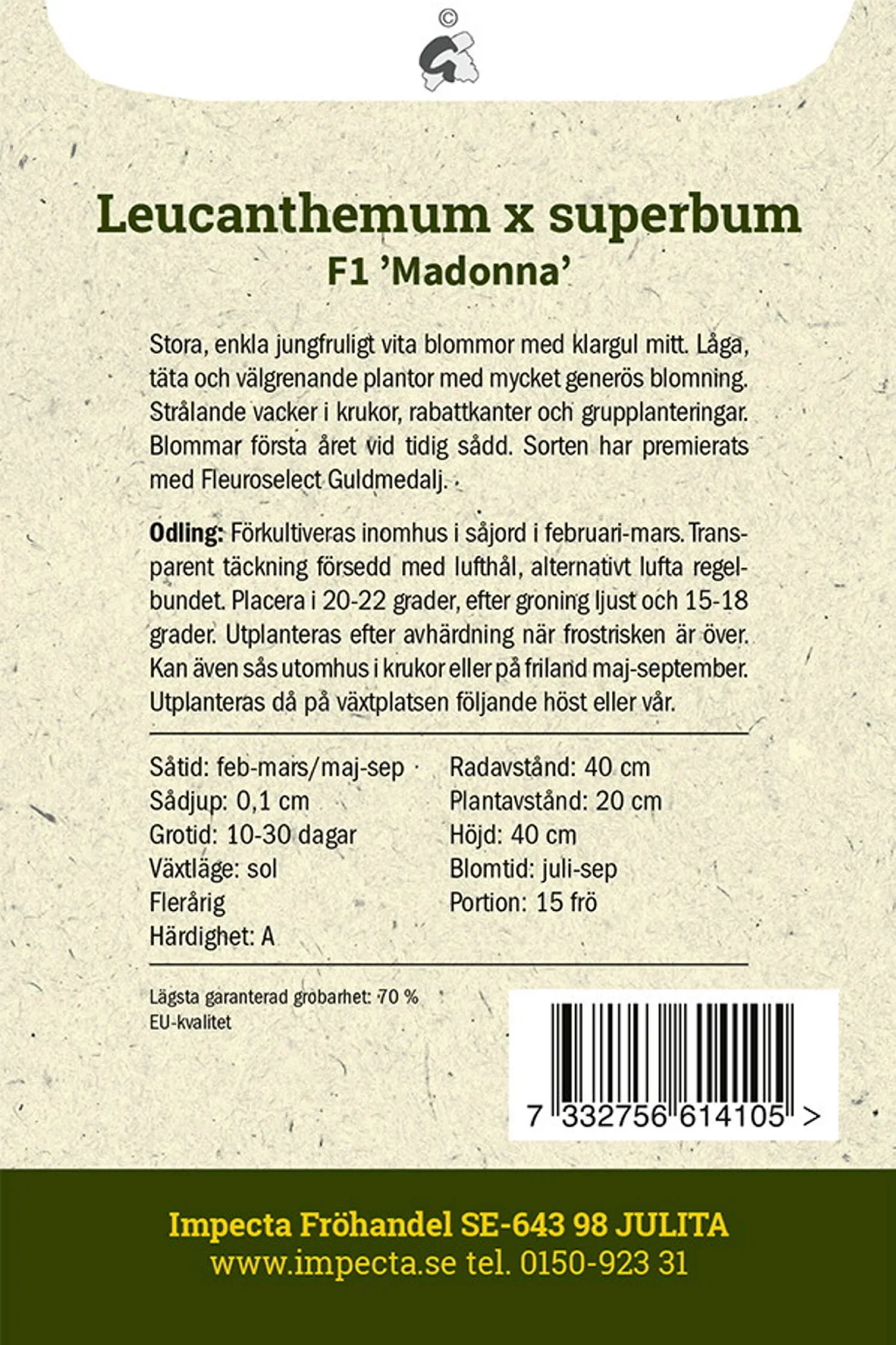 Kjempe tusenfryd F1 'Madonna'