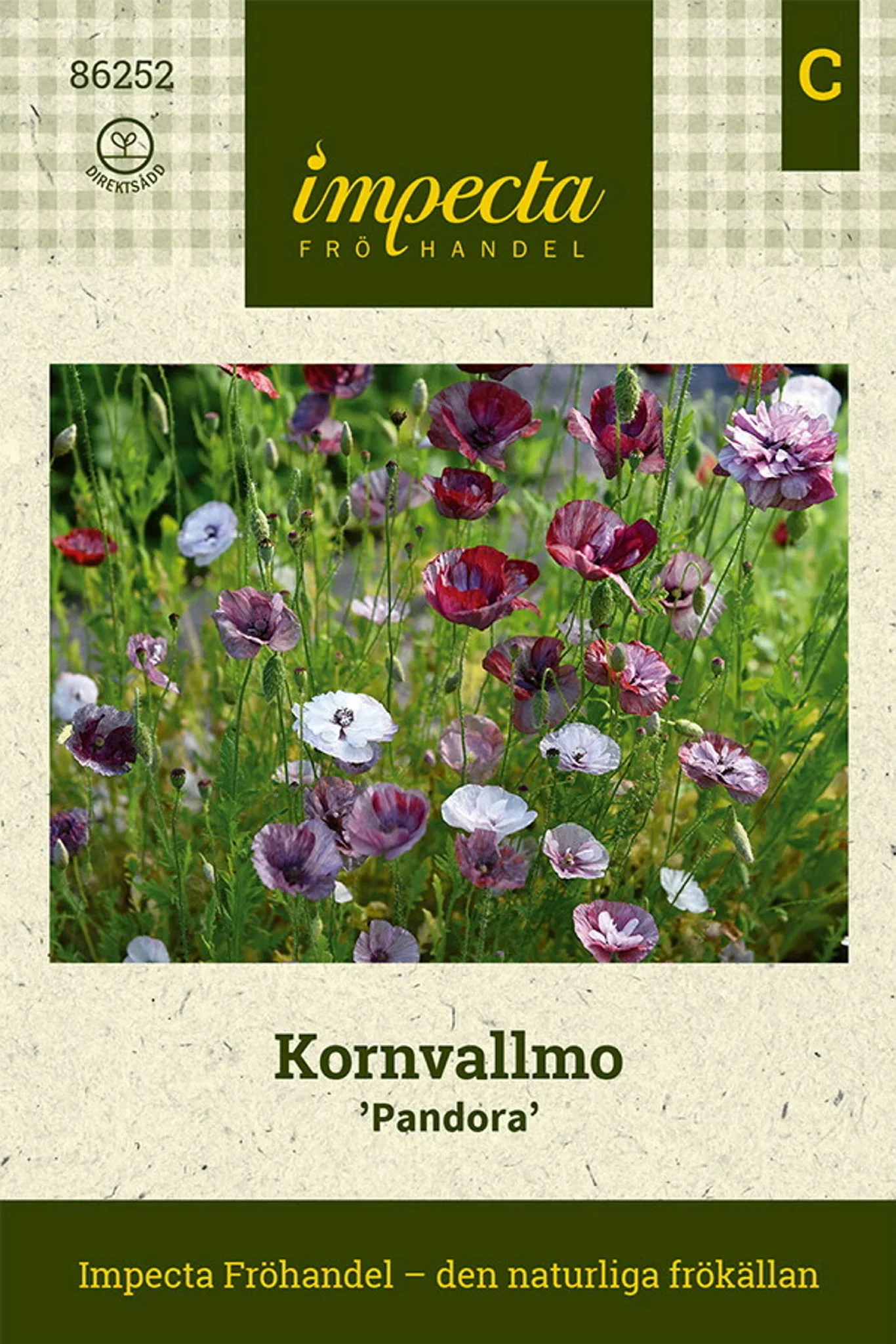 Kornvalmue 'Pandora'