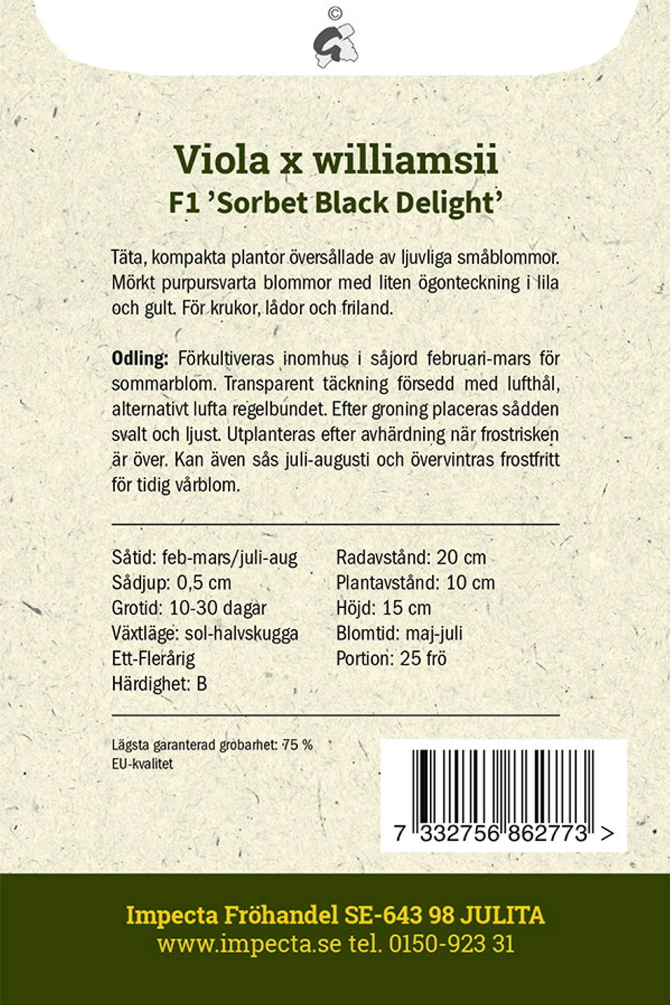 Minipensé F1 'Sorbet Black Delight'