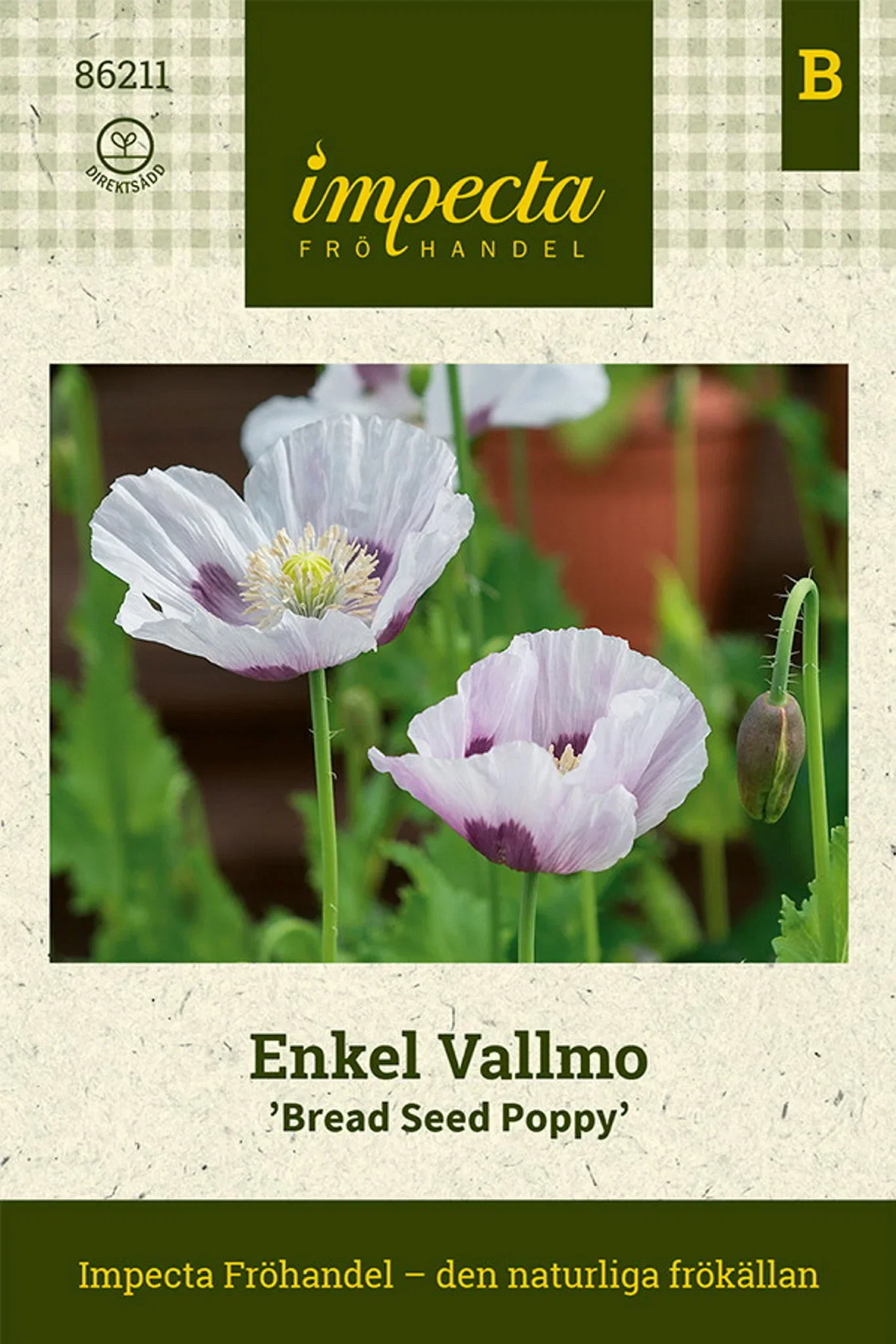 Enkel valmue 'Bread Seed Poppy'