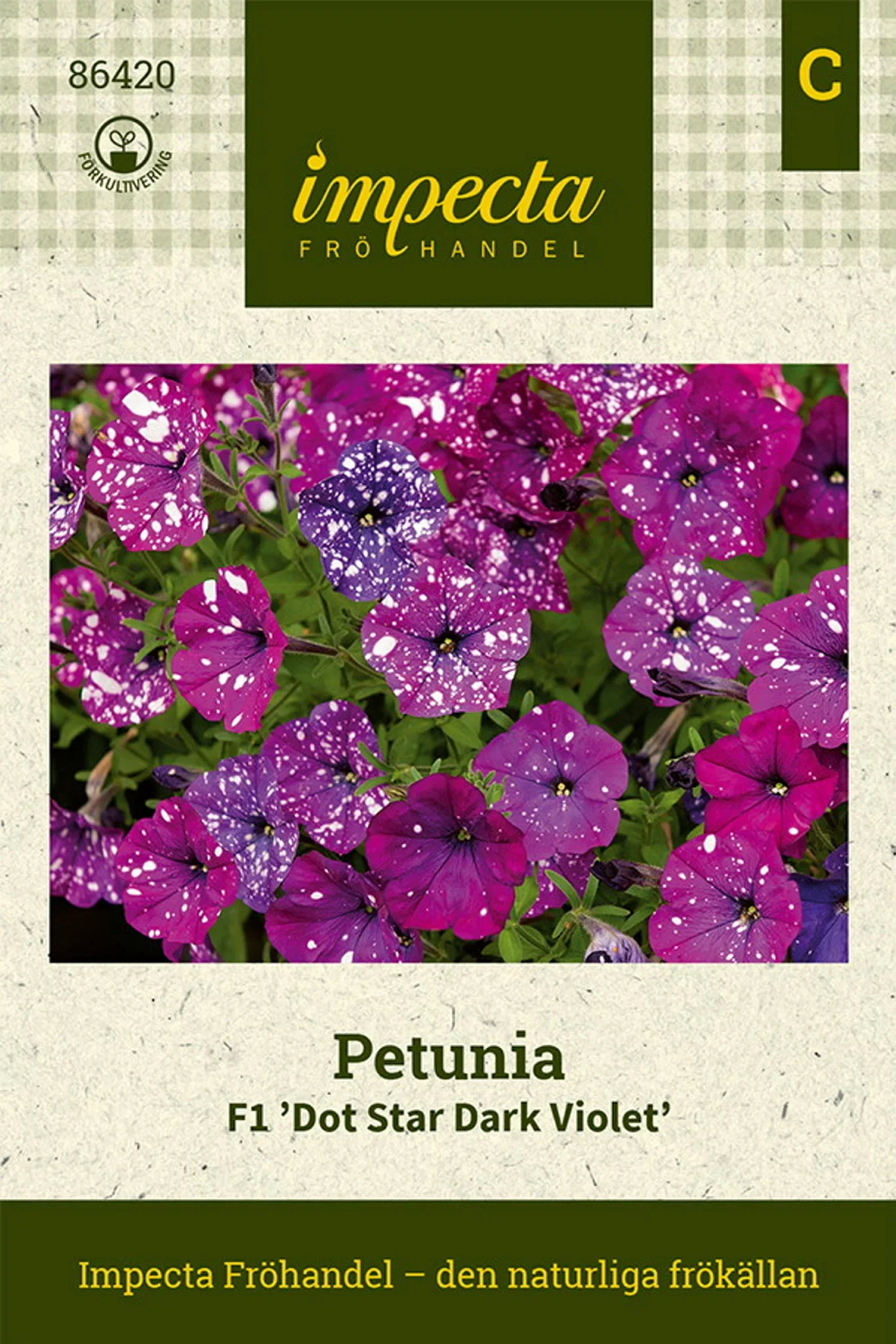 Petunia F1 'Dot Star Dark Violet'