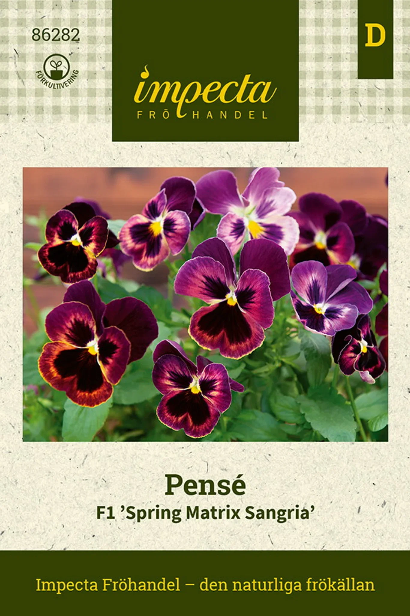 Pensé F1 'Spring Matrix Sangria'