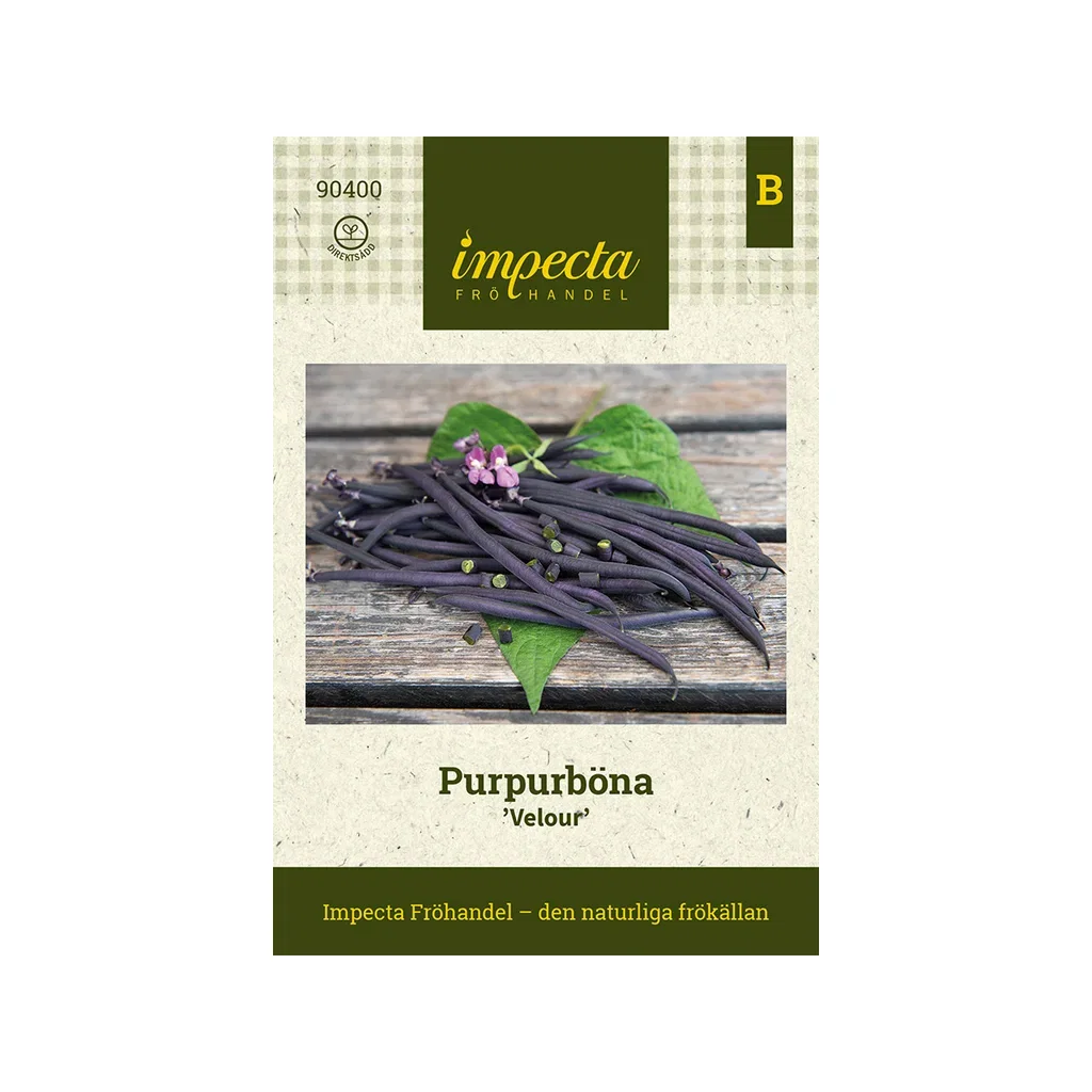 Lilla bønne 'Velour'