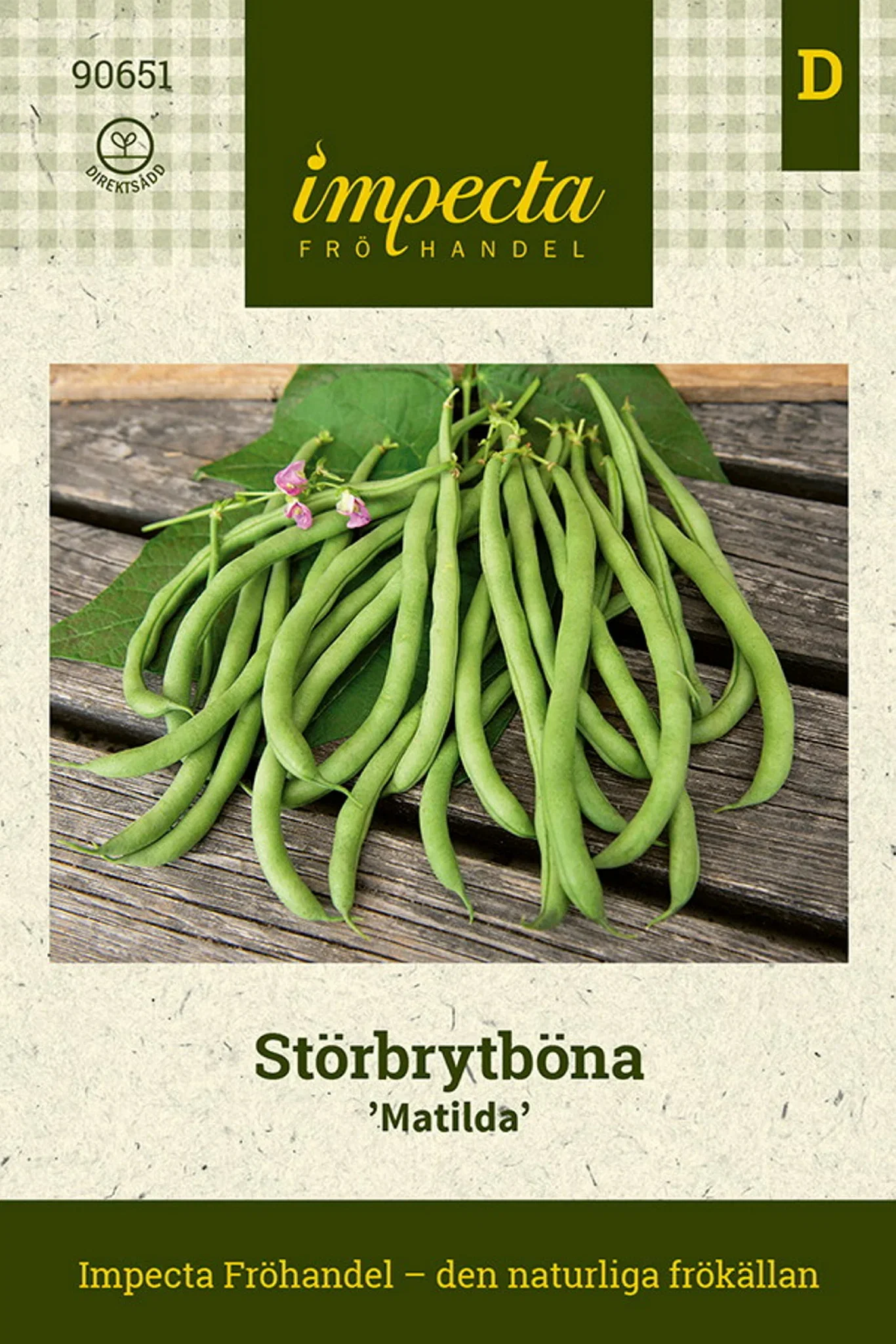 Phaseolus vulgaris 'Matilda'