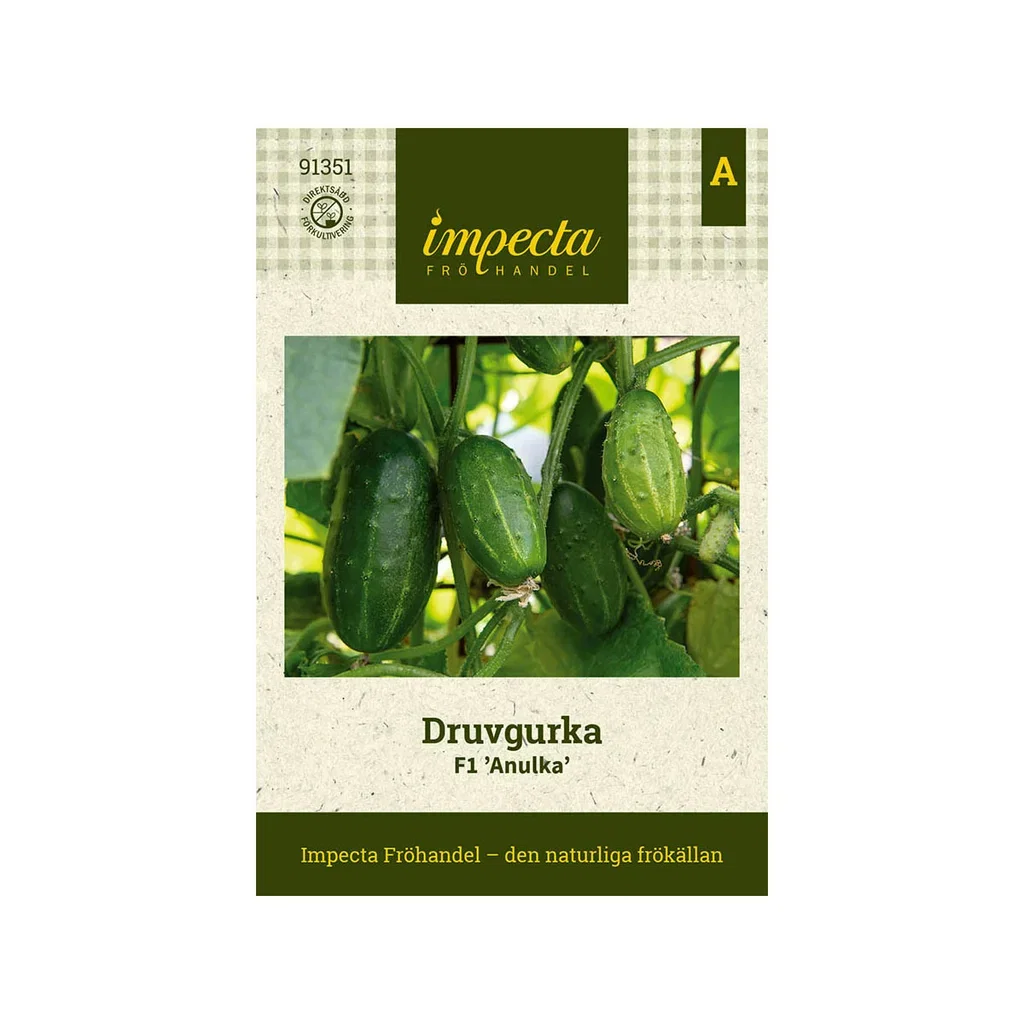 Druvgurka F1 'Anulka'