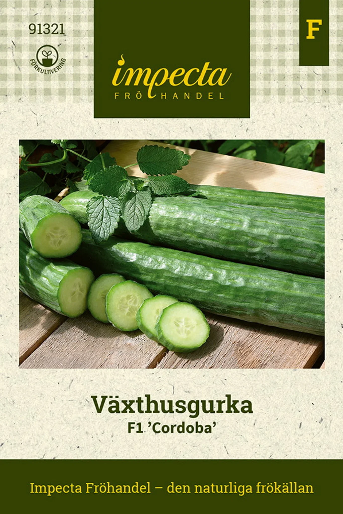 Cucumis sativus (Slanggurka-gr.) F1 'Cordoba'