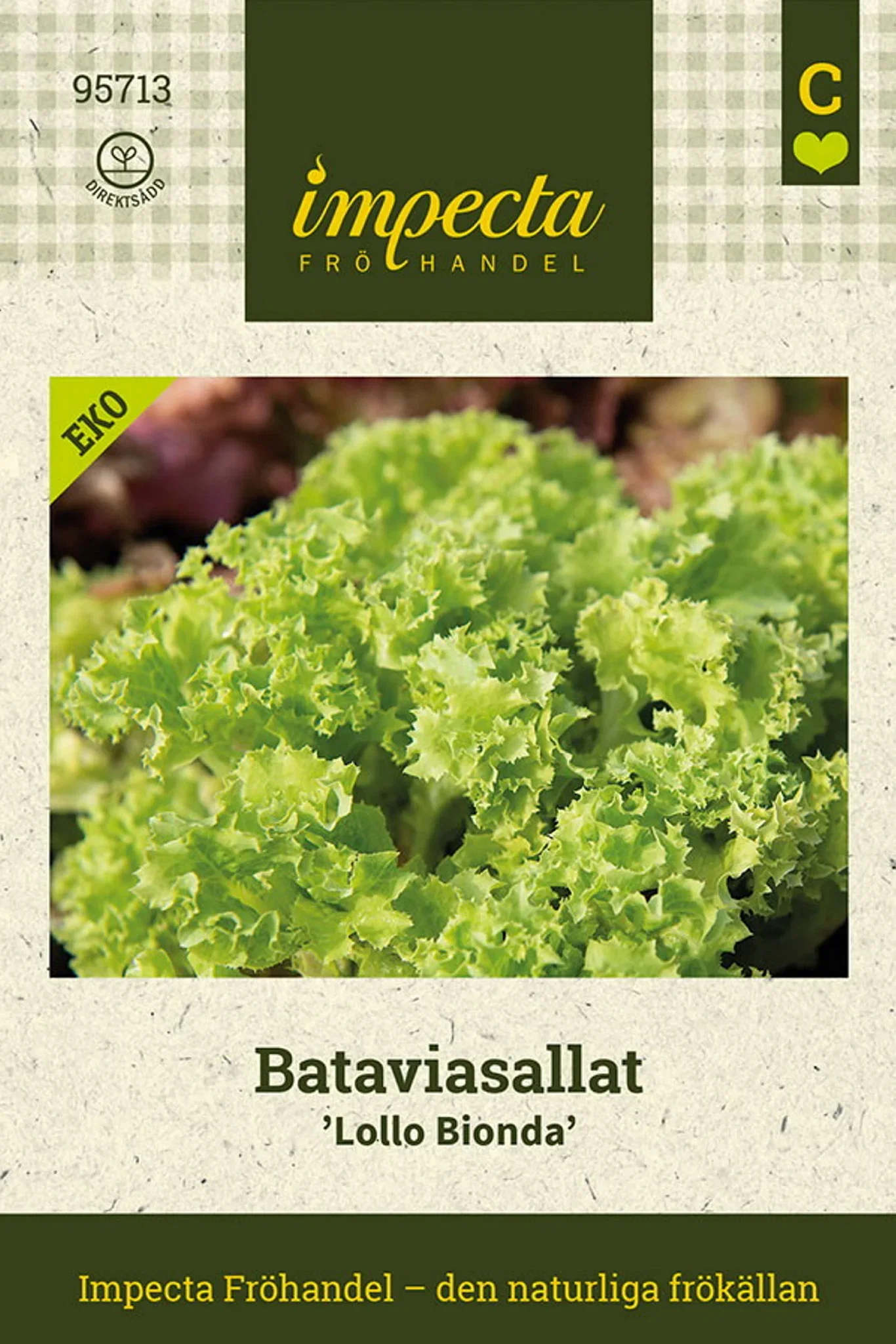 Lactuca sativa 'Lollo Bionda'