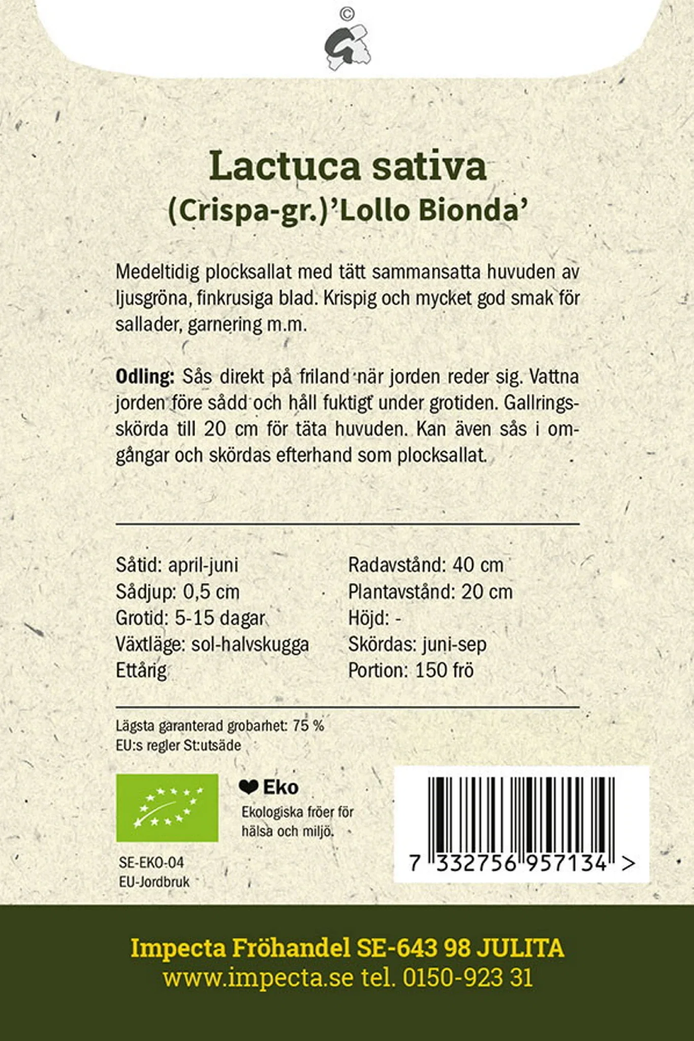 Lactuca sativa 'Lollo Bionda'