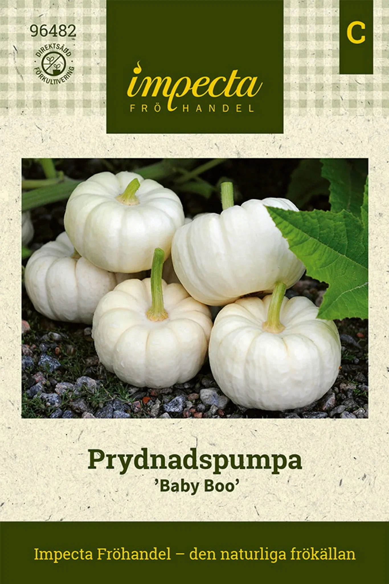 Cucurbita pepo 'Baby Boo'