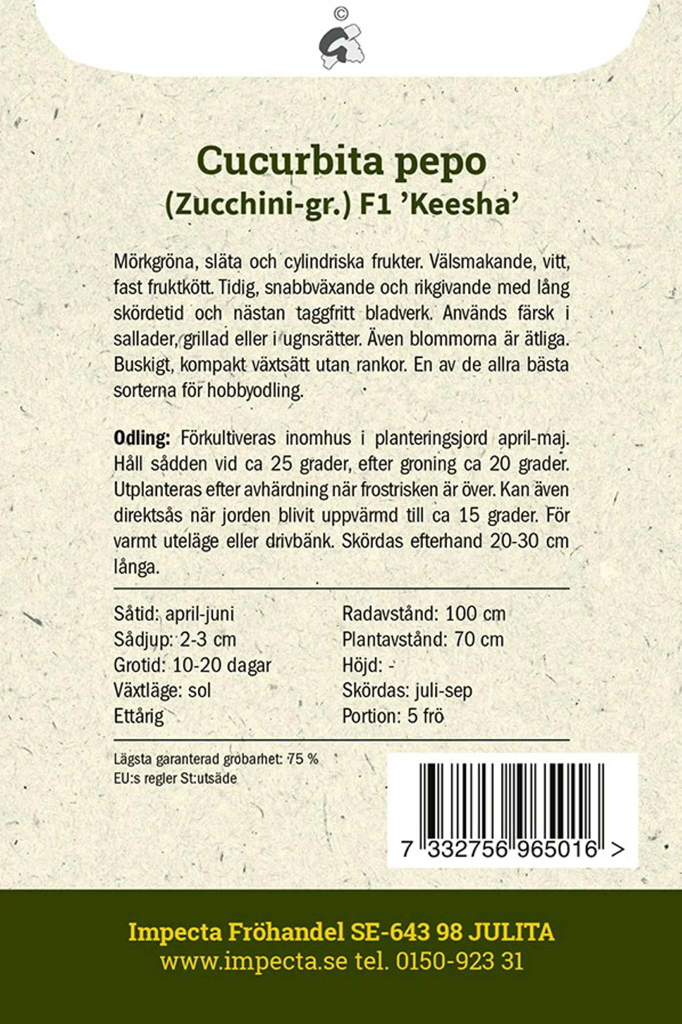 Cucurbita pepo F1 'Keesha'