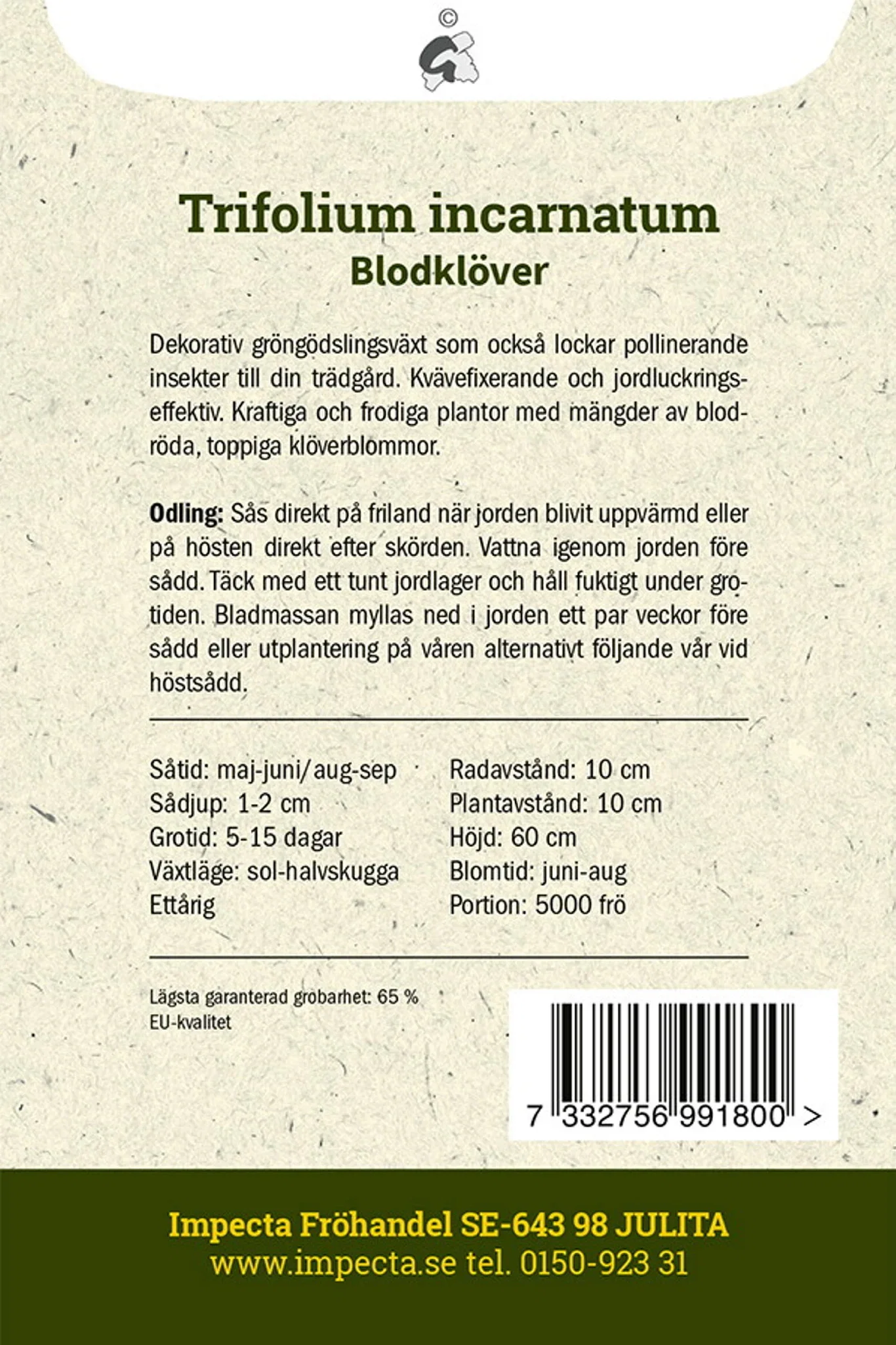 Trifolium incarnatum