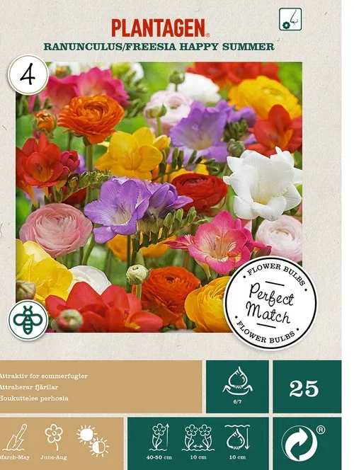 Perfect Match - Happy Summer