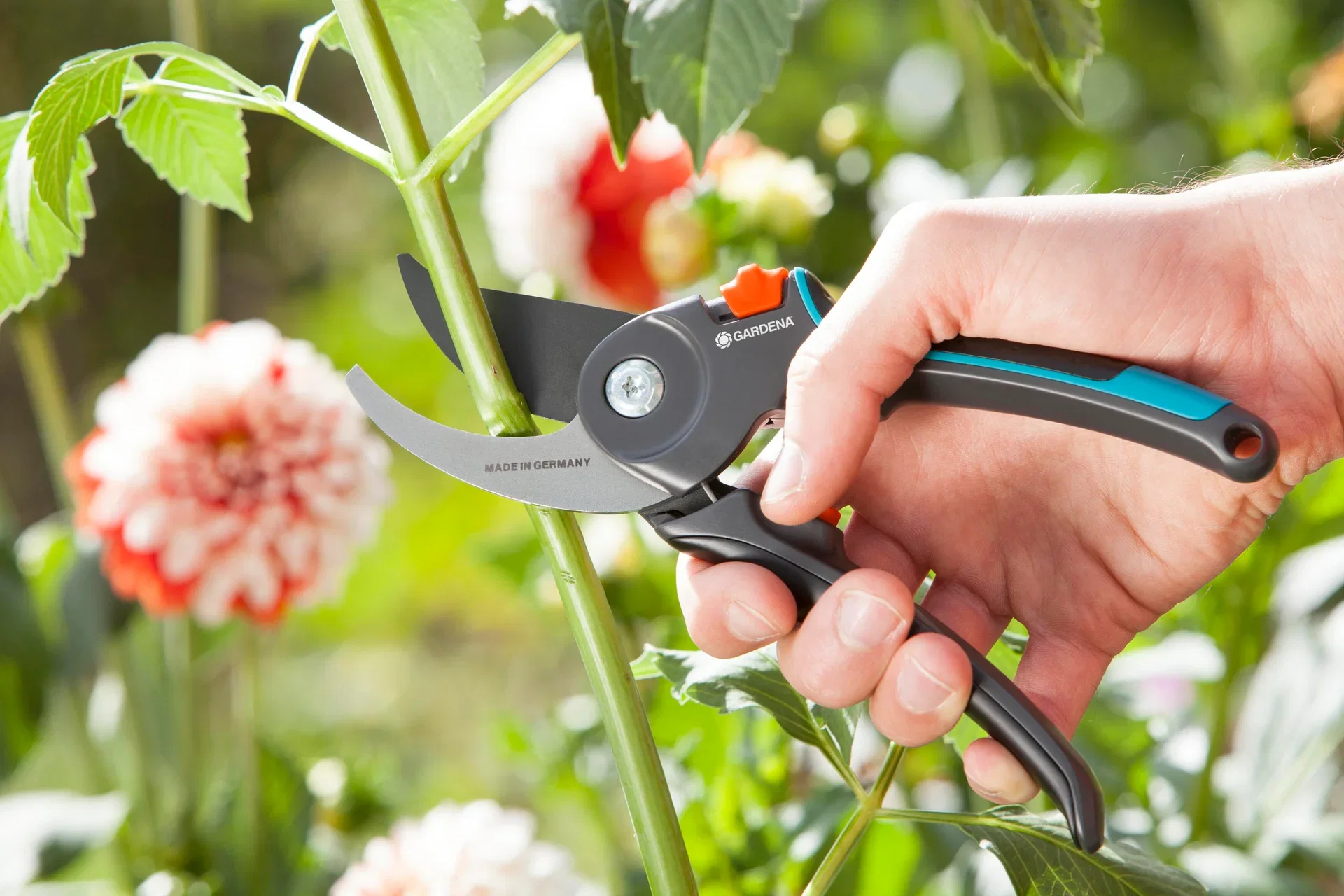 Pruning-shears