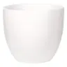 product variant