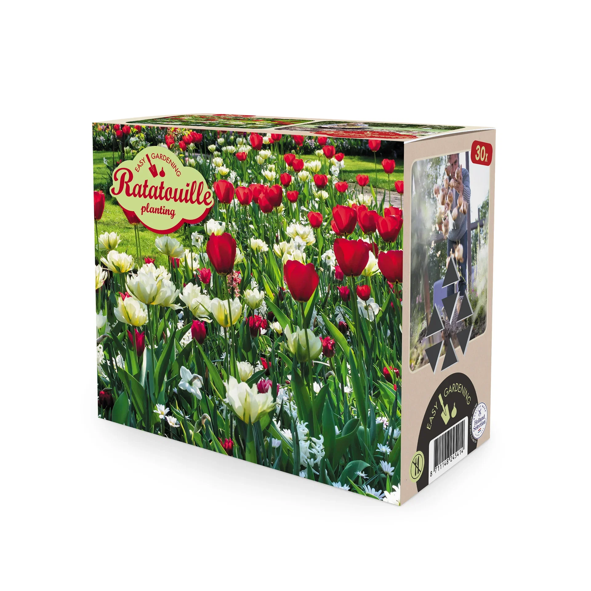 Vårblomstrende løkmiks Ratatouille