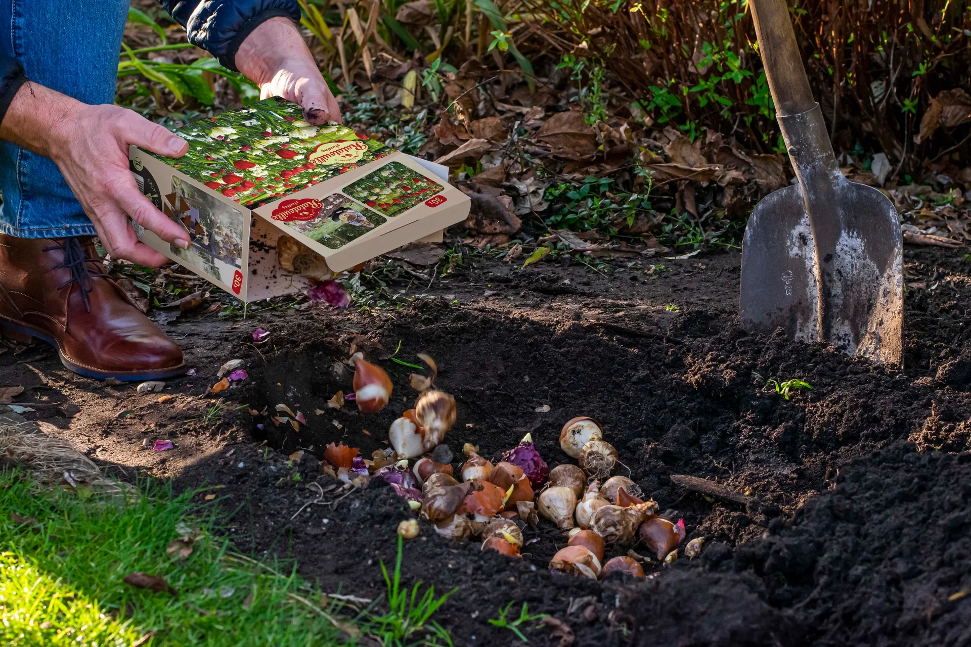 Vårblomstrende løkmiks Ratatouille