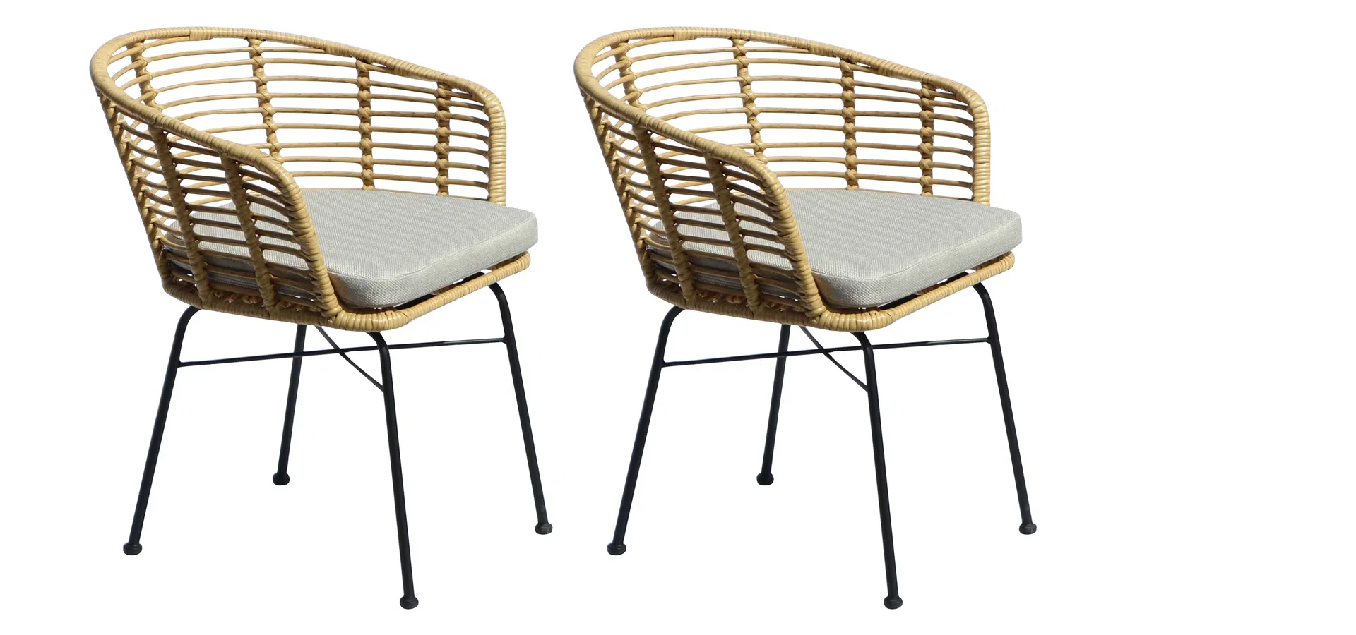 Dining Chair Tretoria