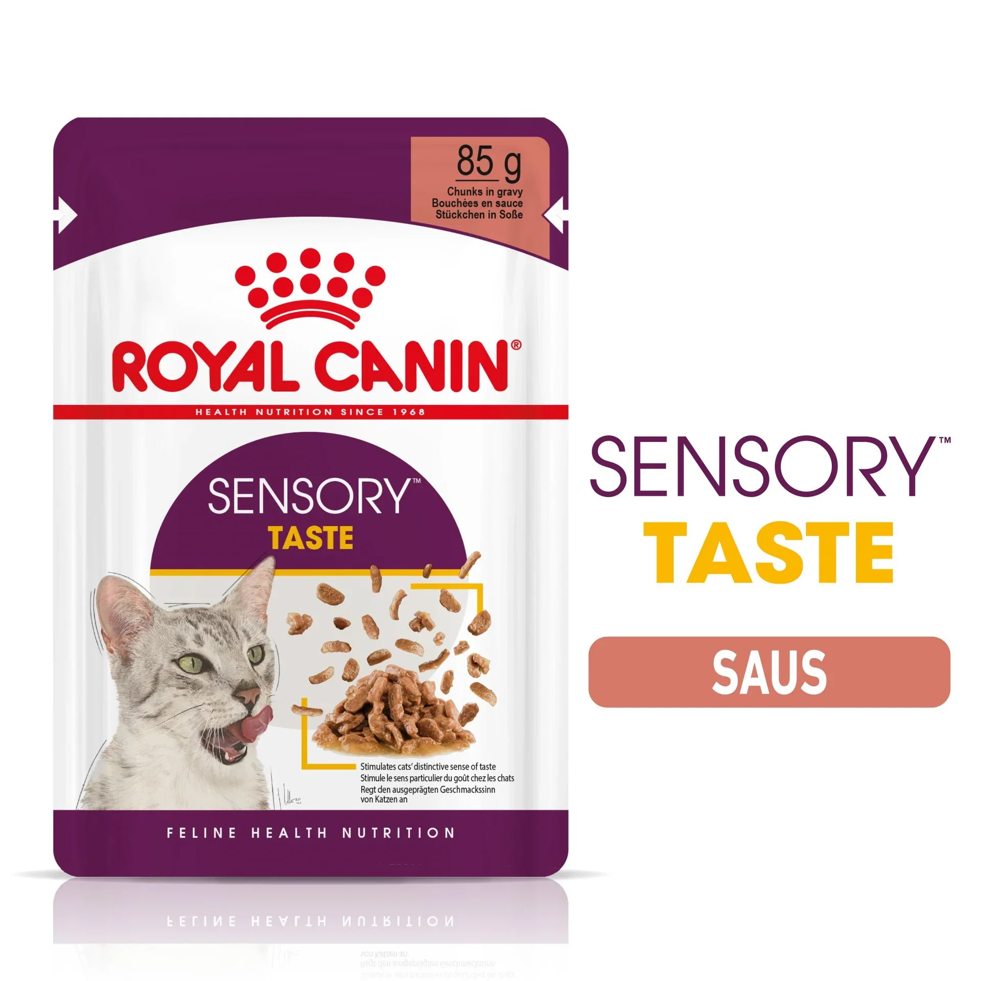 Sensory Taste Gravy 12x85g