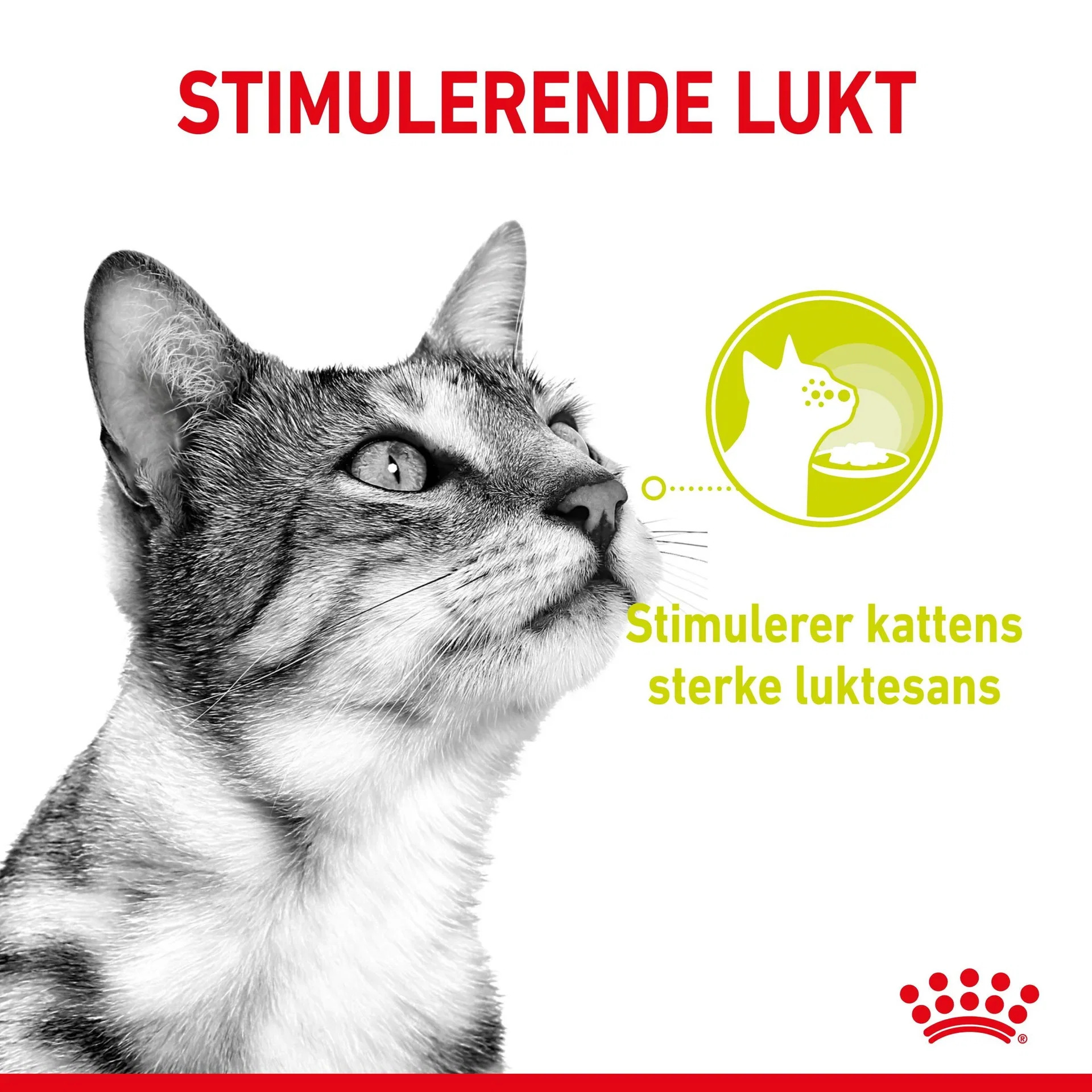 Sensory Smell Gravy 12x85g