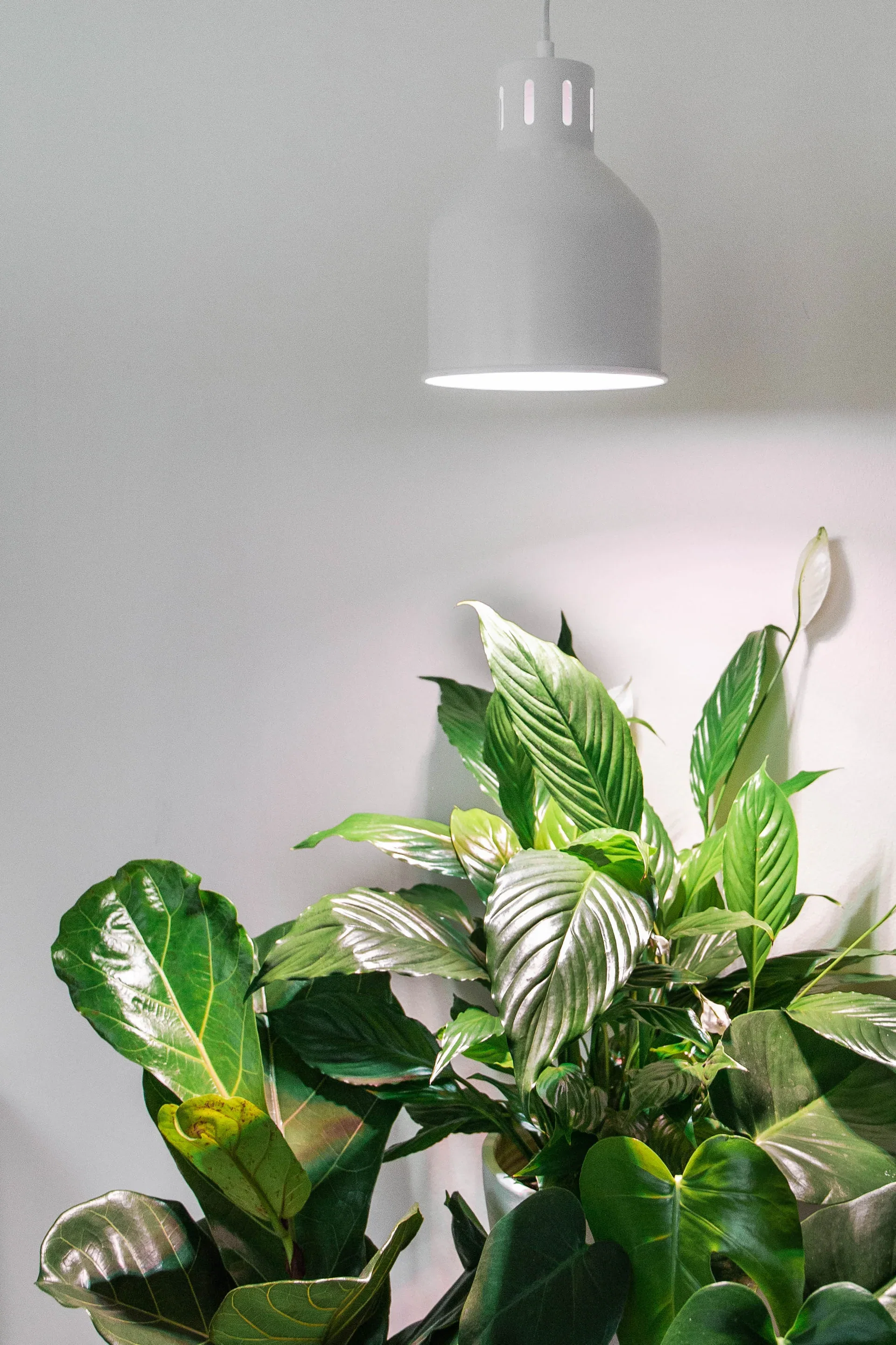 Plantebelysning hengearmatur Saga