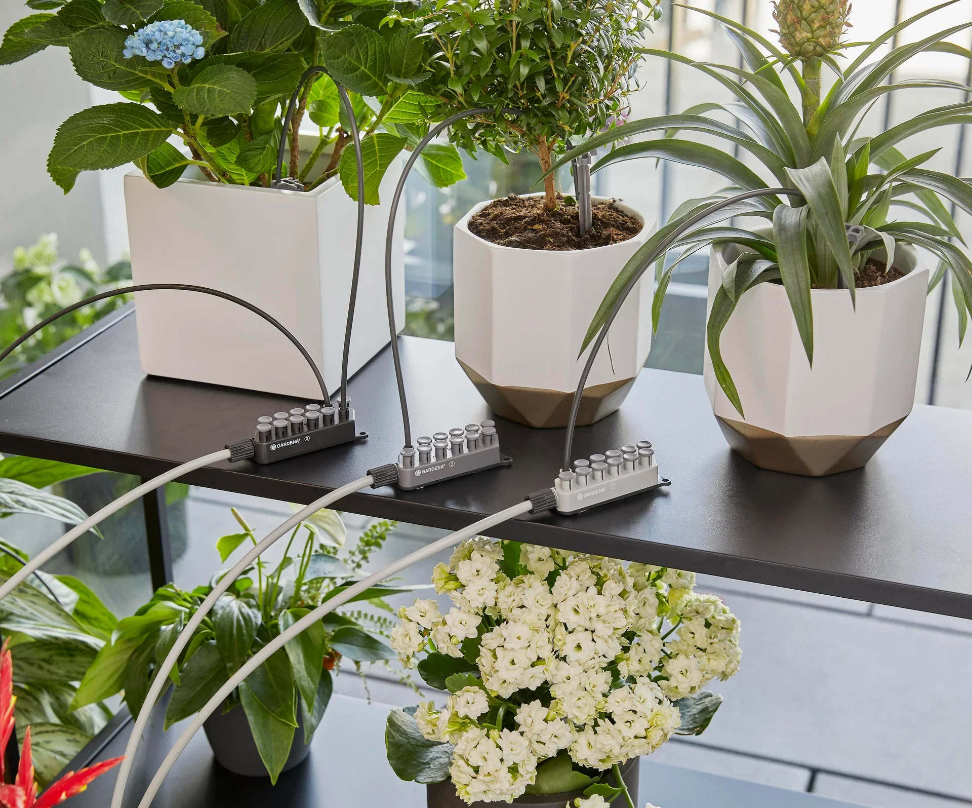 Holiday watering system w/ water tank