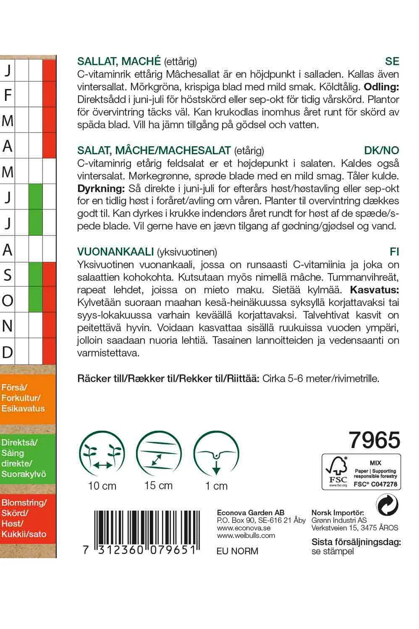 Vintersalat / Feldsalat 'Hvit' KRAV