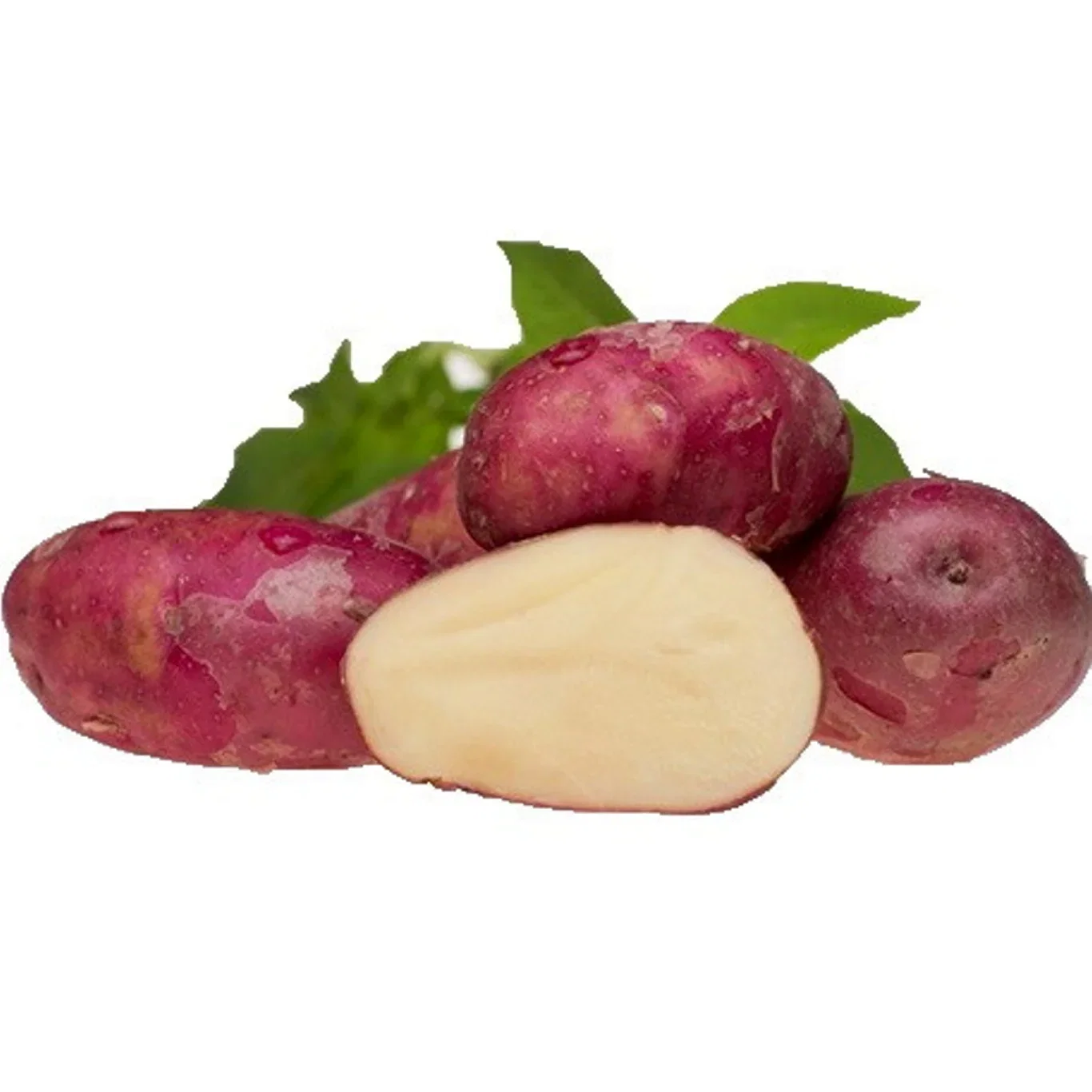 Potato Pimpernel 2,5 KG