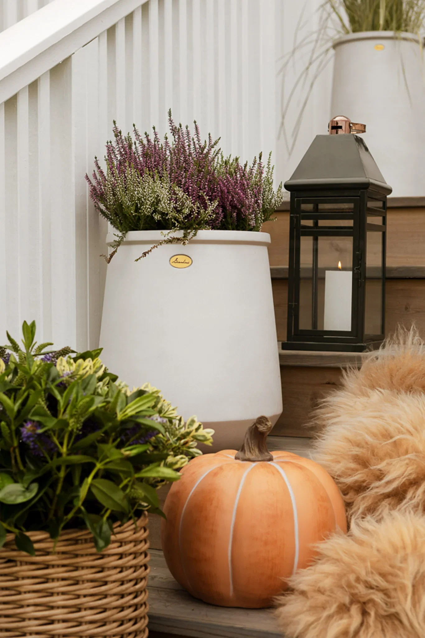 Pumpis pumpkin D29 orange