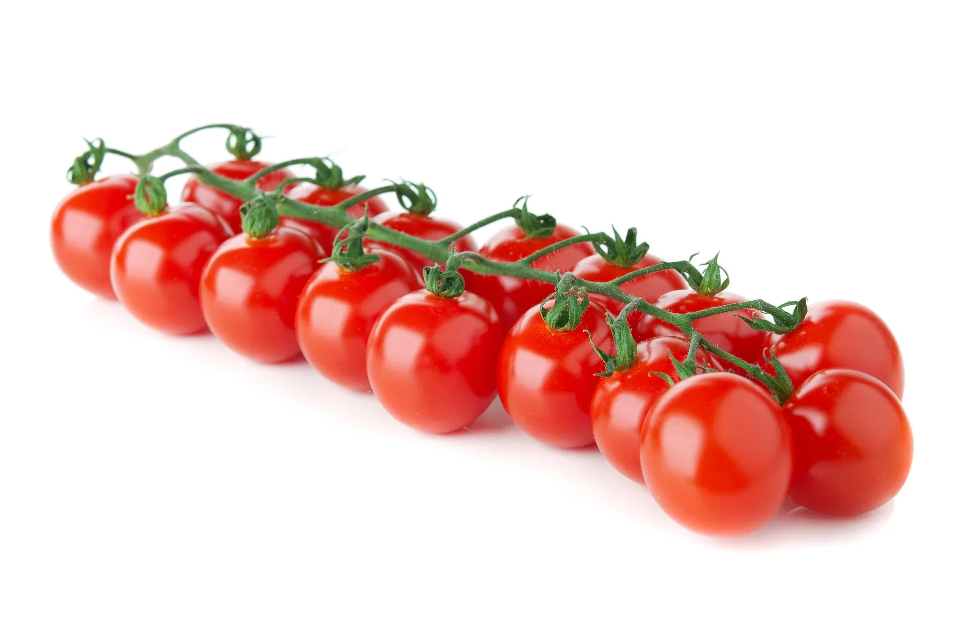 Cherrytomat ‘Red Cherry’