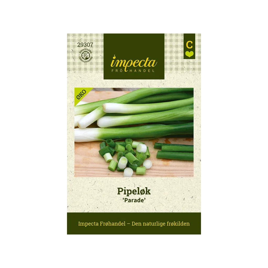 Allium fistulosum 'Parade'