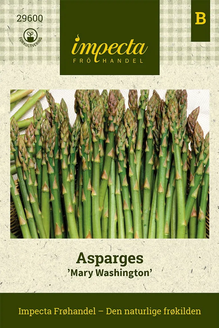 Asparagus officinalis 'Mary Washington'