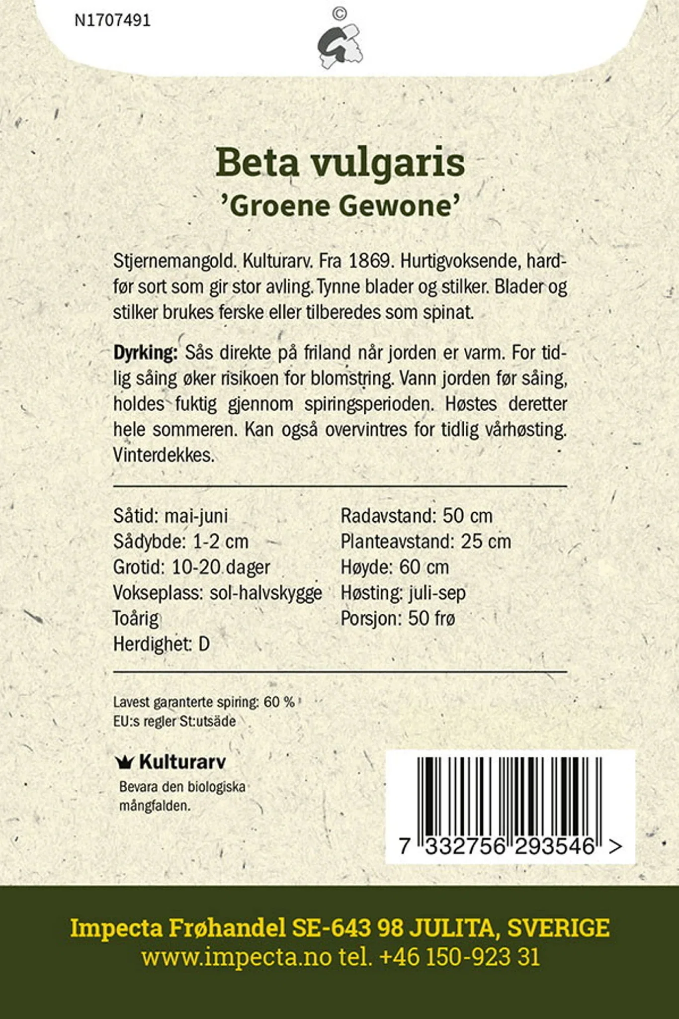 Bladbete 'Groene Gewone'