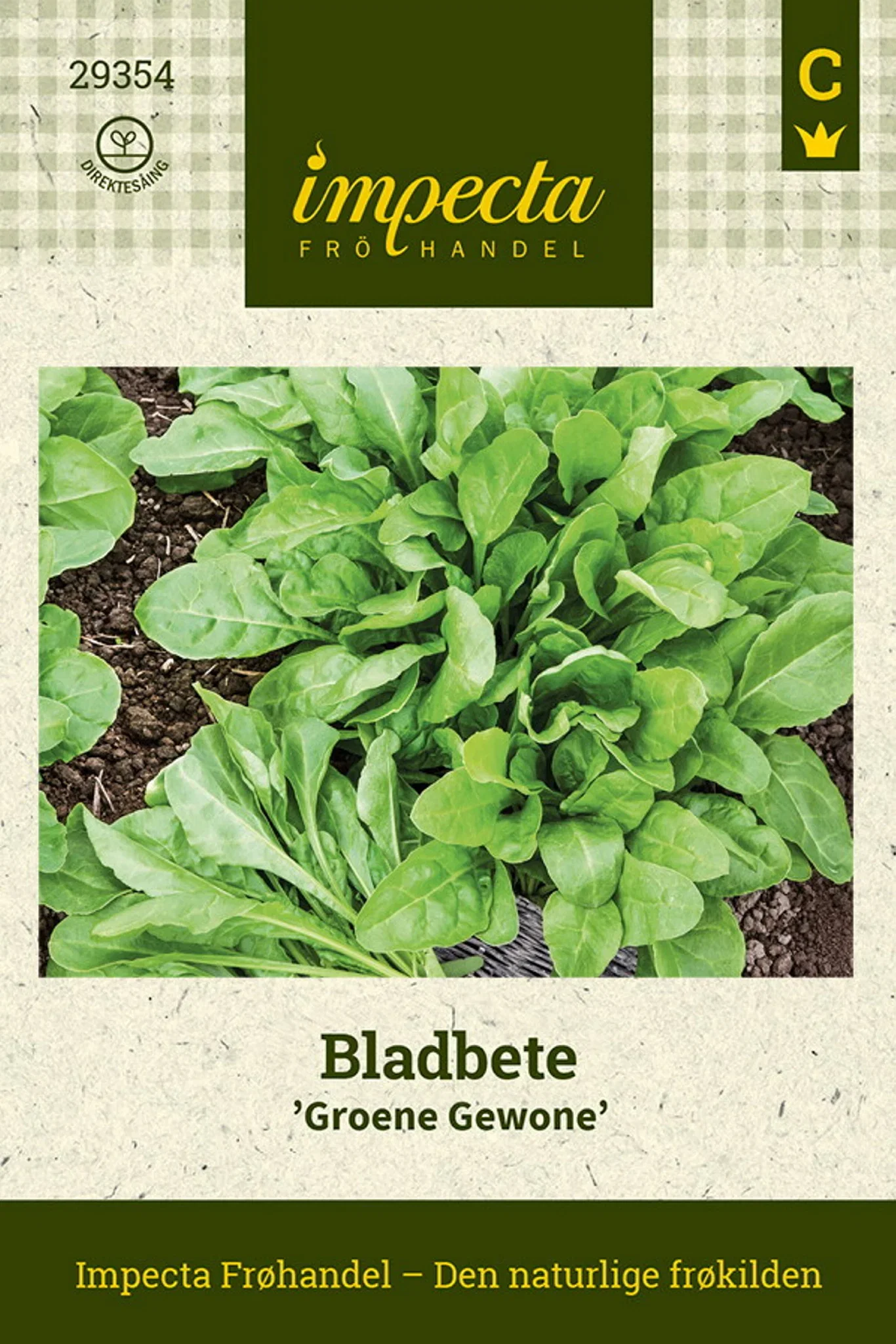 Bladbete 'Groene Gewone'