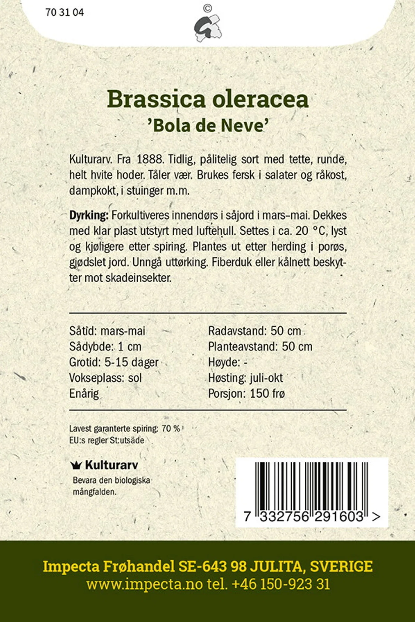 Brassica oleracea 'Bola de Neve'