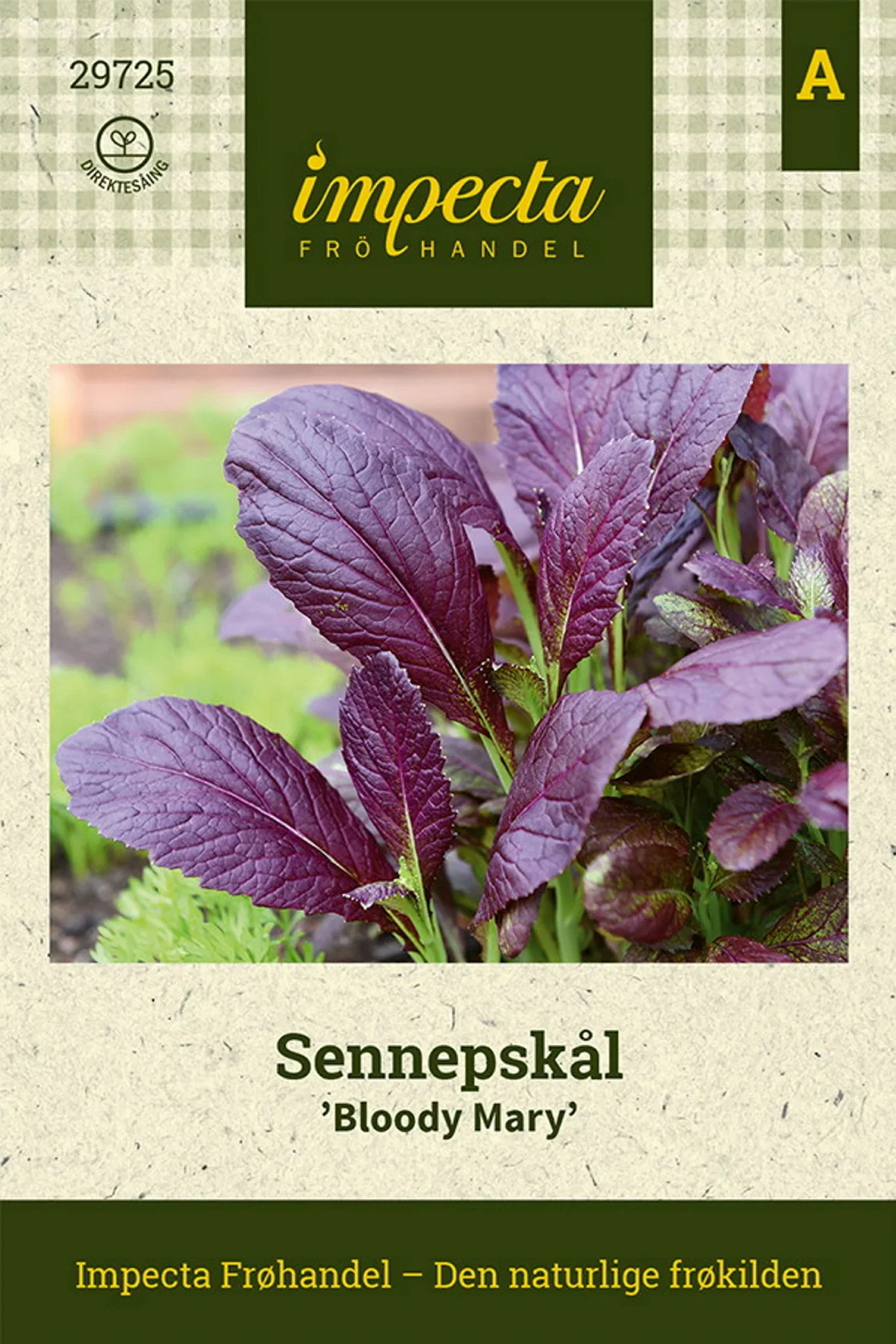 Brassica juncea 'Bloody Mary'