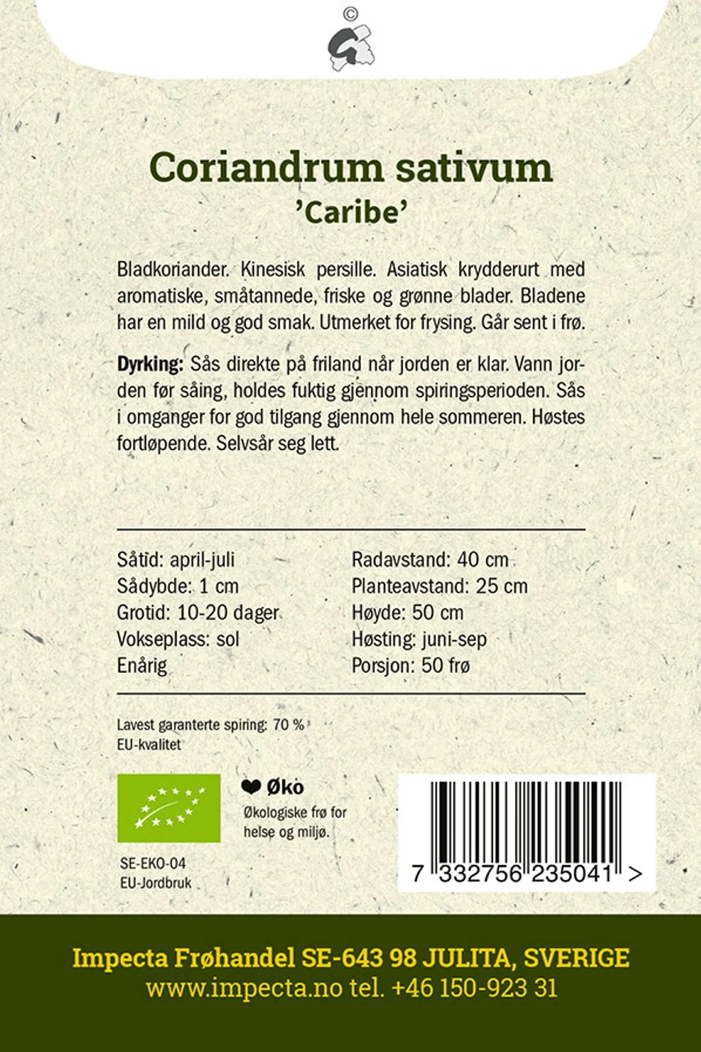 Koriander 'Caribe'