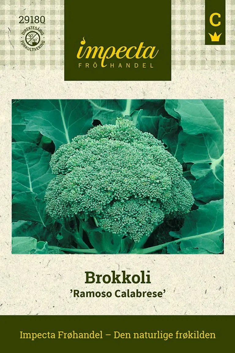 Brassica oleracea 'Ramoso Calabrese'