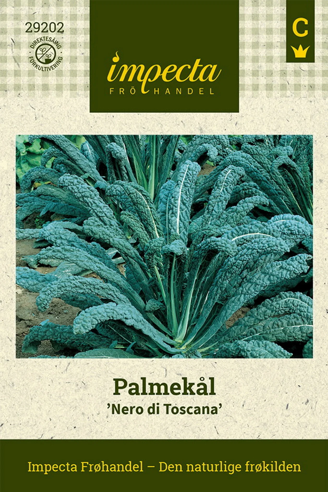 Brassica oleracea 'Nero di Toscana'