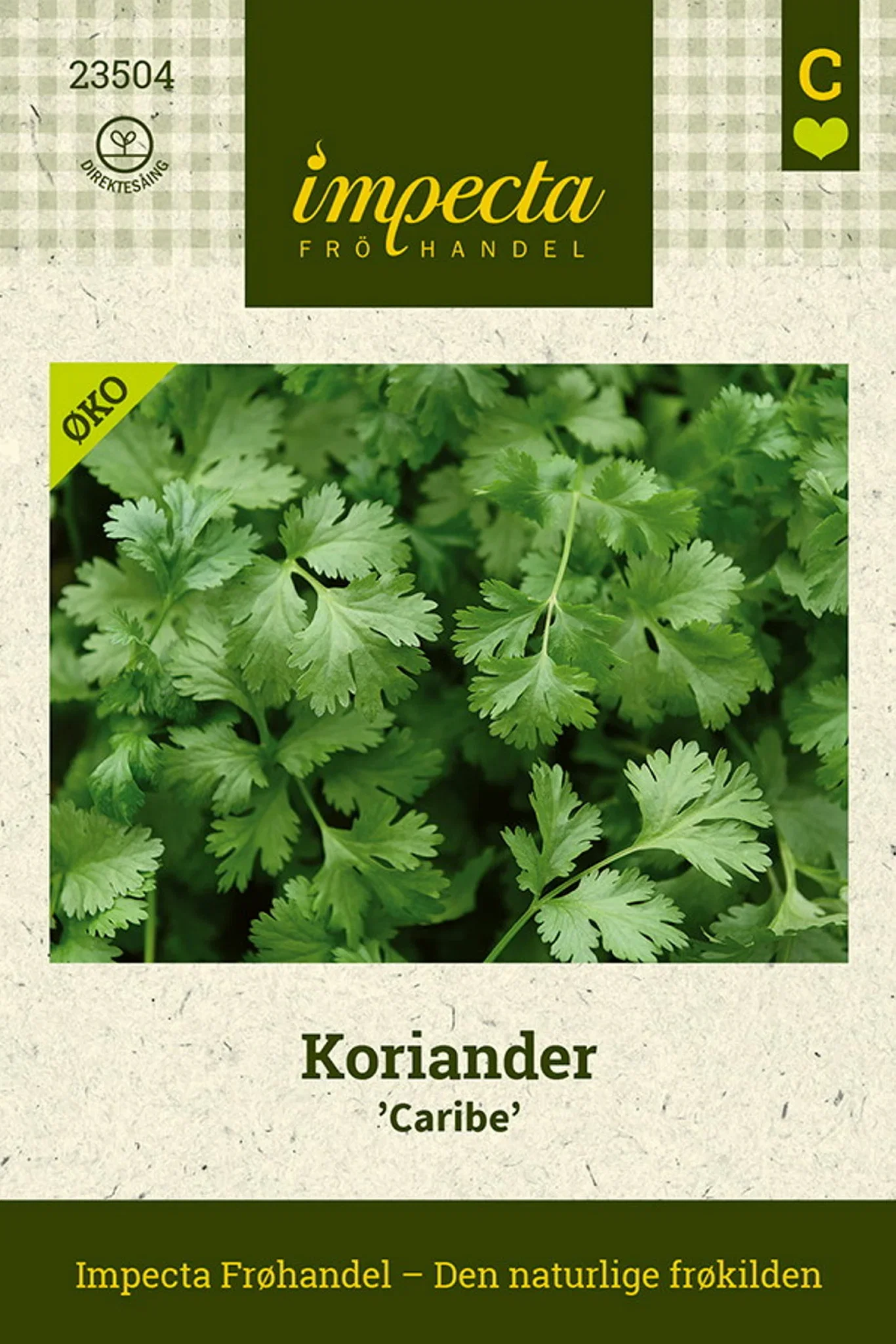 Koriander 'Caribe'