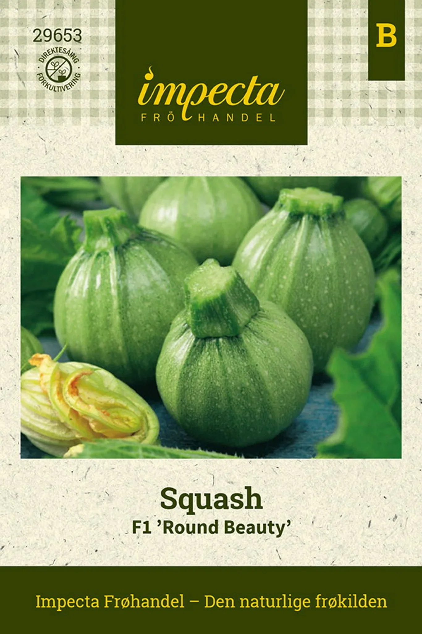 Squash F1 'Round Beauty'